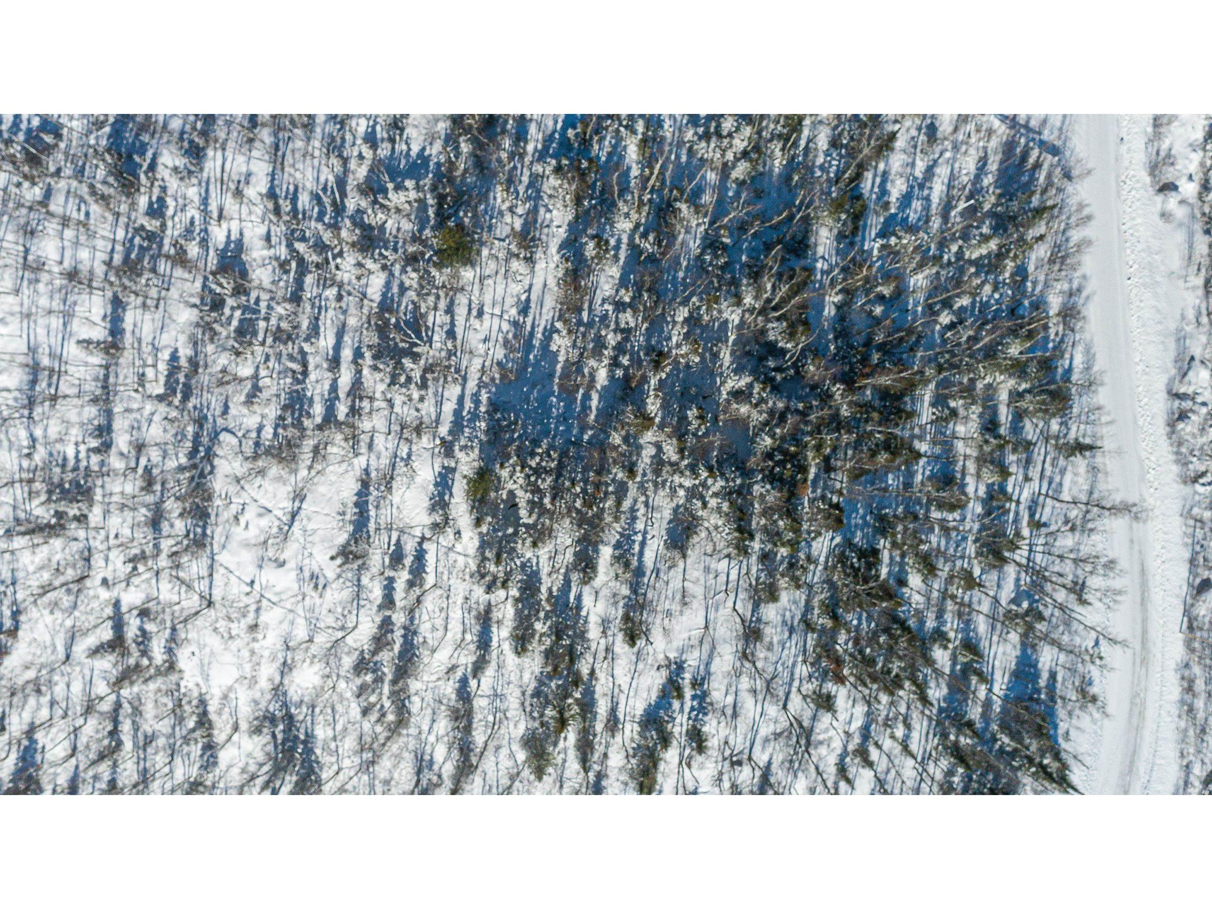 TBD Moose Creek Tr Ely MN 55731 - Clear Lake 6113305 image31