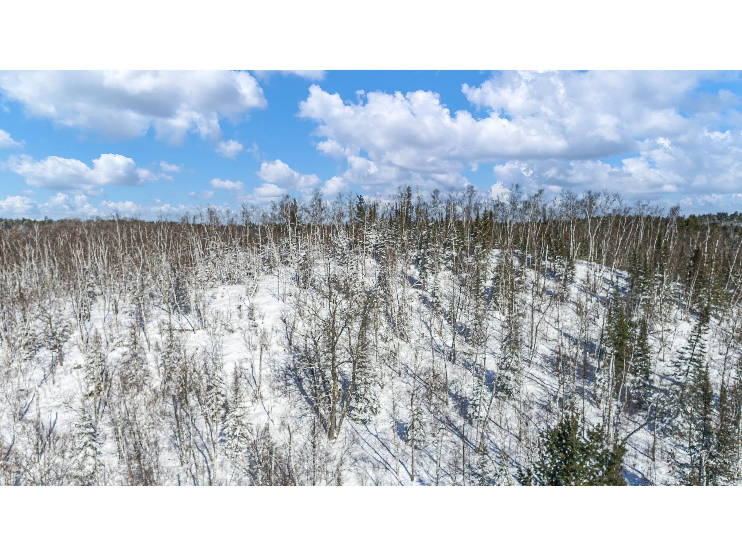 TBD Moose Creek Tr Ely MN 55731 - Clear Lake 6113305 image40