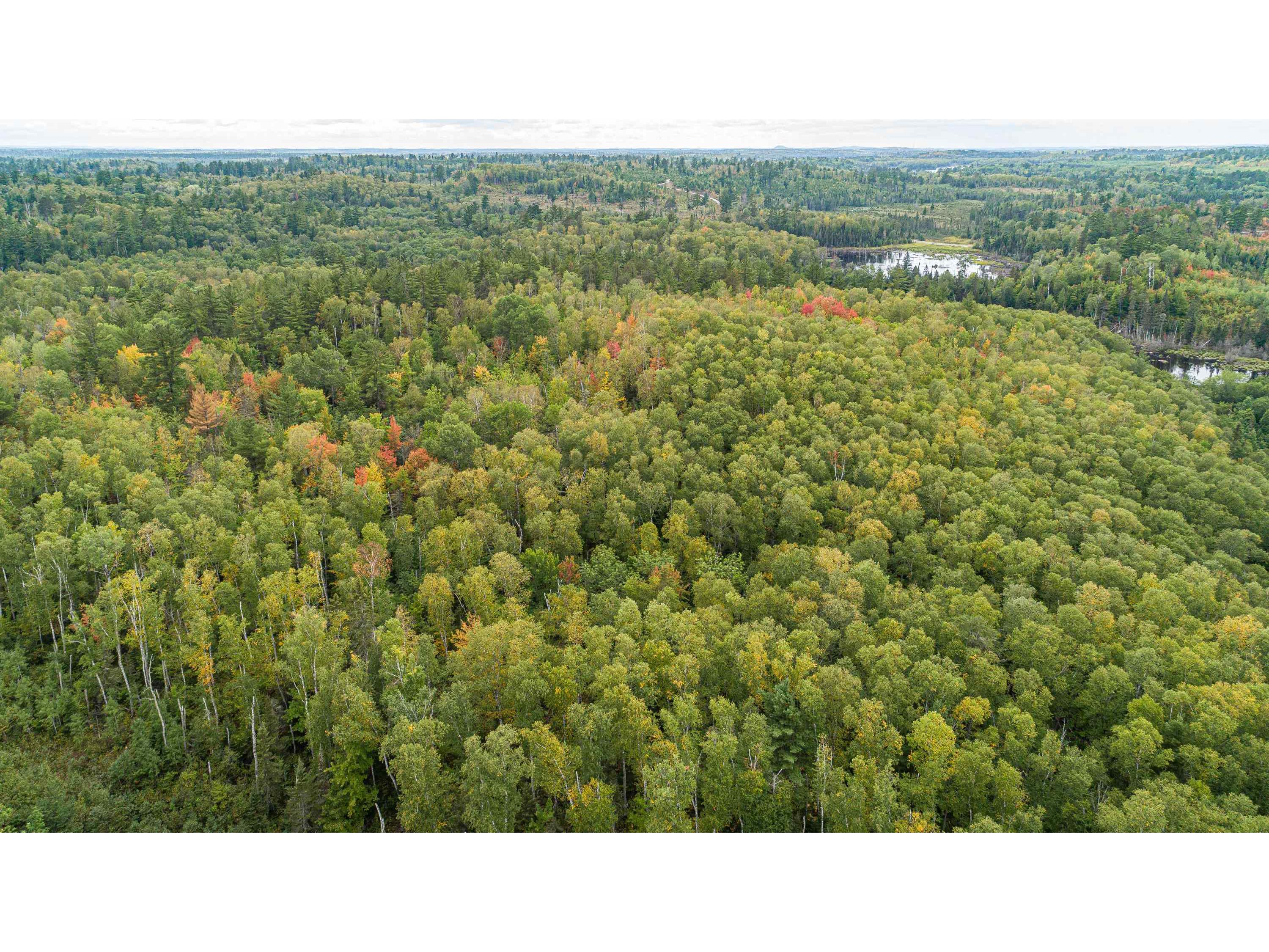 TBD Moose Junction Tr Ely MN 55731 6122645 image1