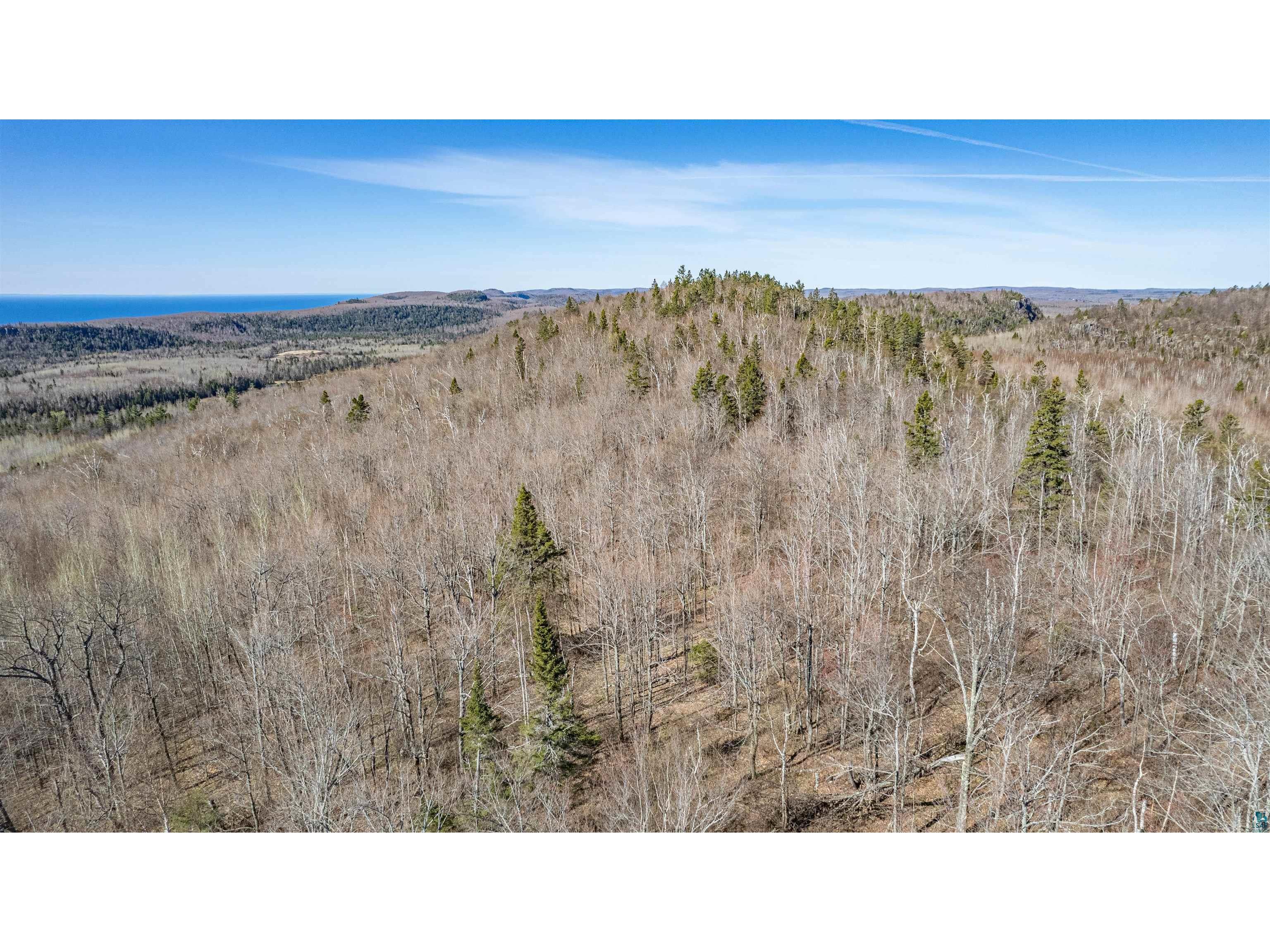 TBD Mountain Home Tr Little Marais MN 55614 6125983 image11