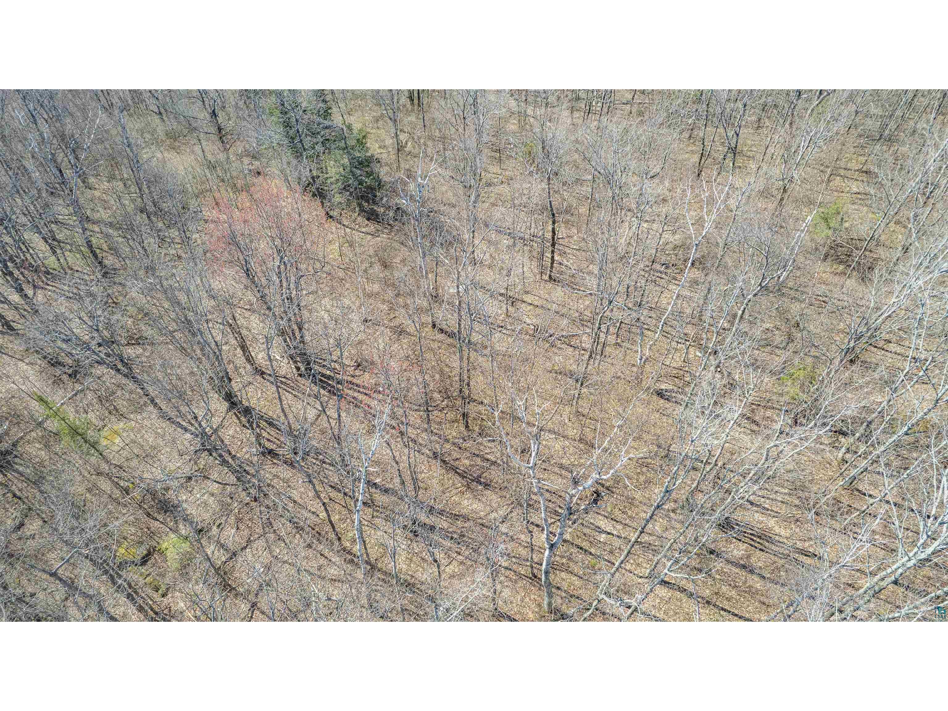 TBD Mountain Home Tr Little Marais MN 55614 6125983 image12