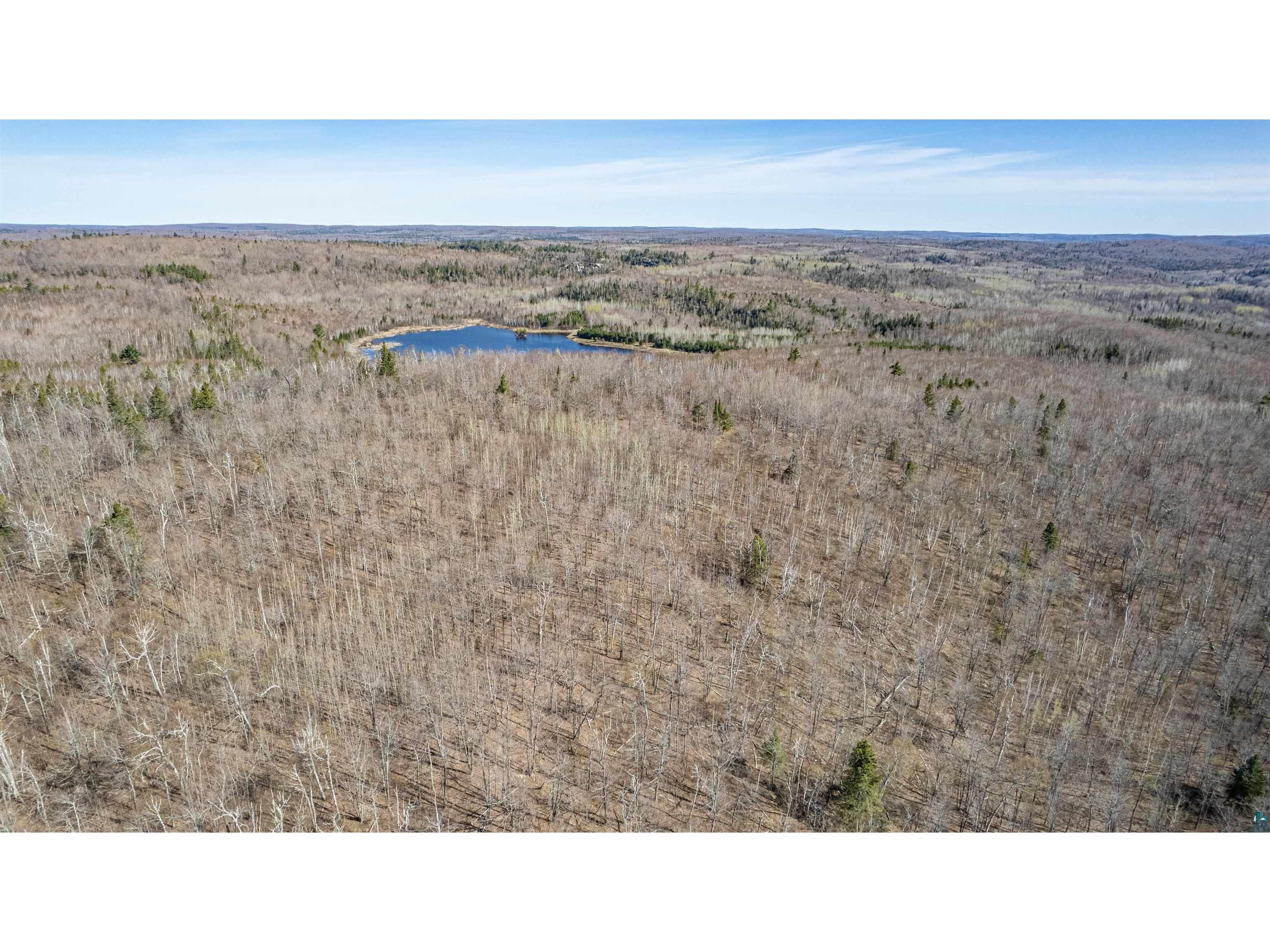 TBD Mountain Home Tr Little Marais MN 55614 6125983 image3