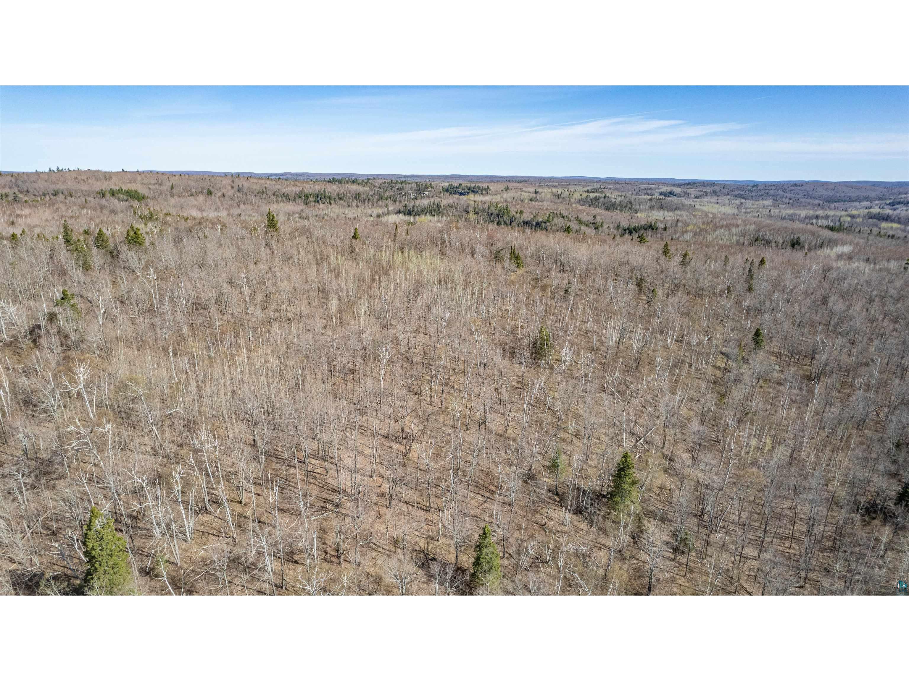 TBD Mountain Home Tr Little Marais MN 55614 6125983 image4