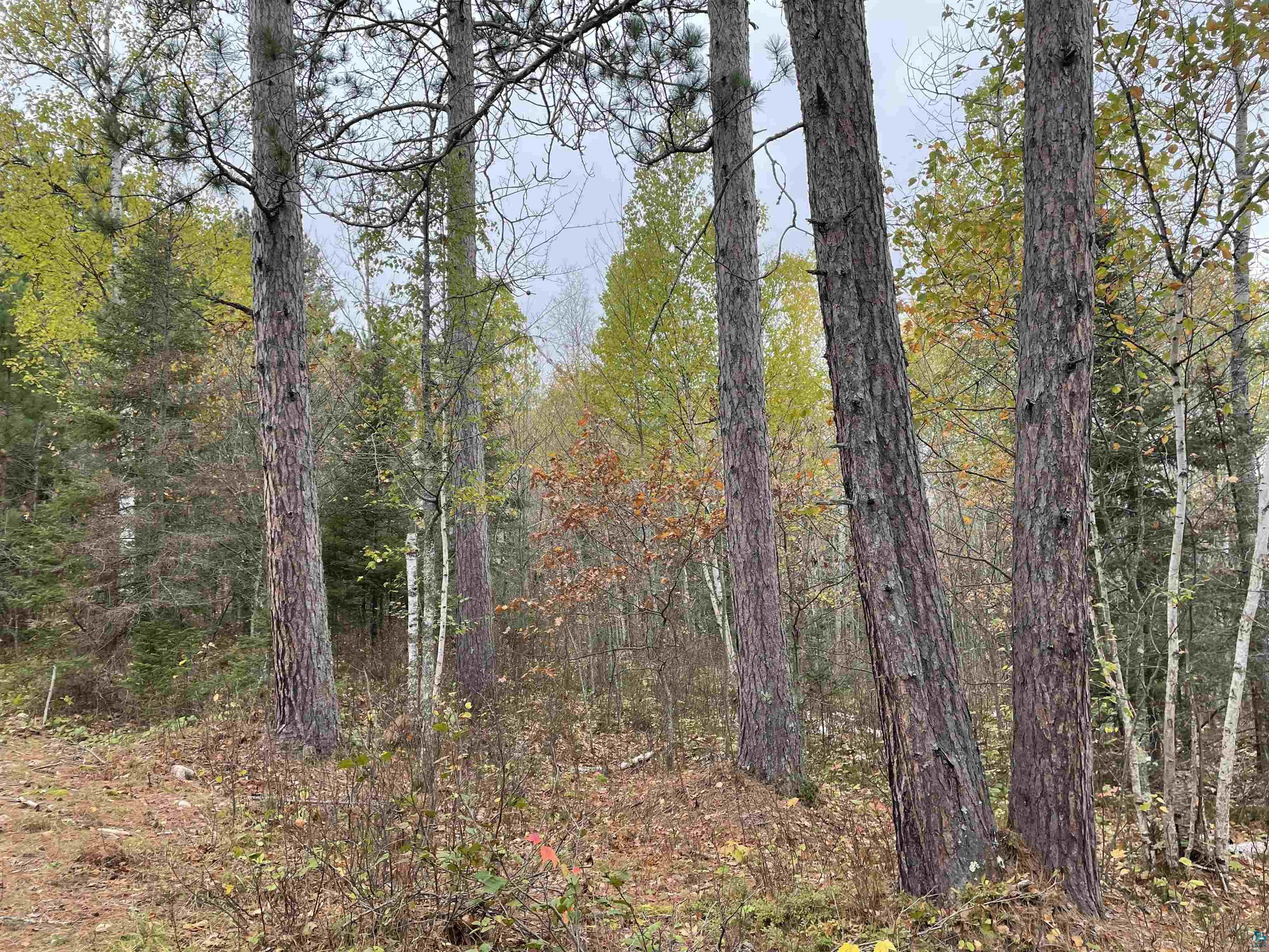 TBD Muckwa Lake Rd Babbitt MN 55706 6111185 image1