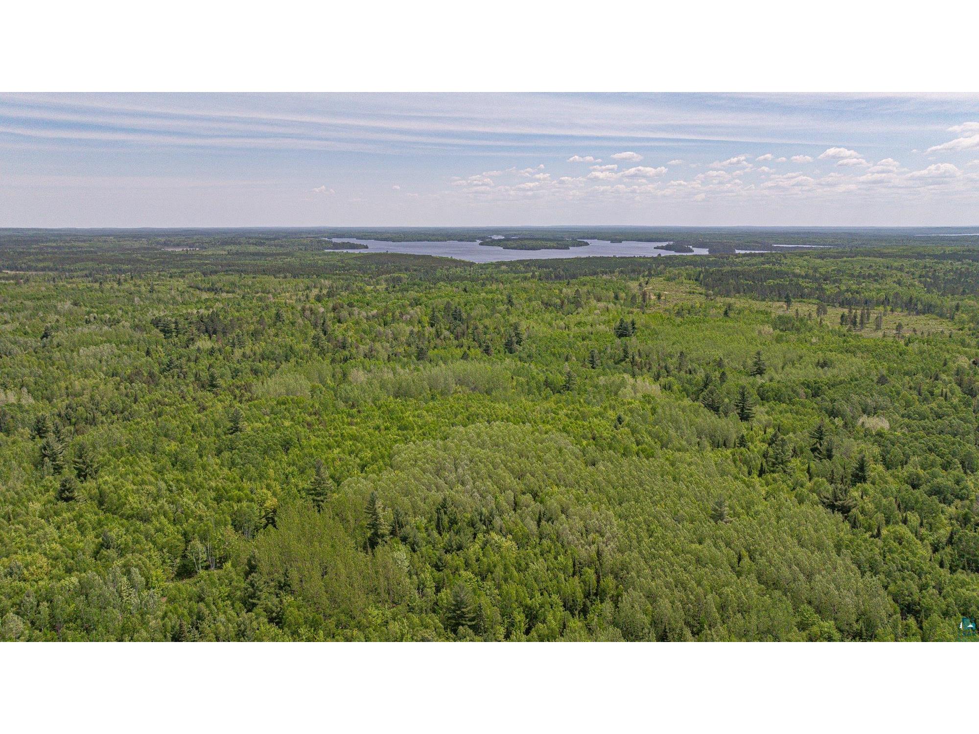 TBD Muckwa Lake Rd Babbitt MN 55706 6125860 image28