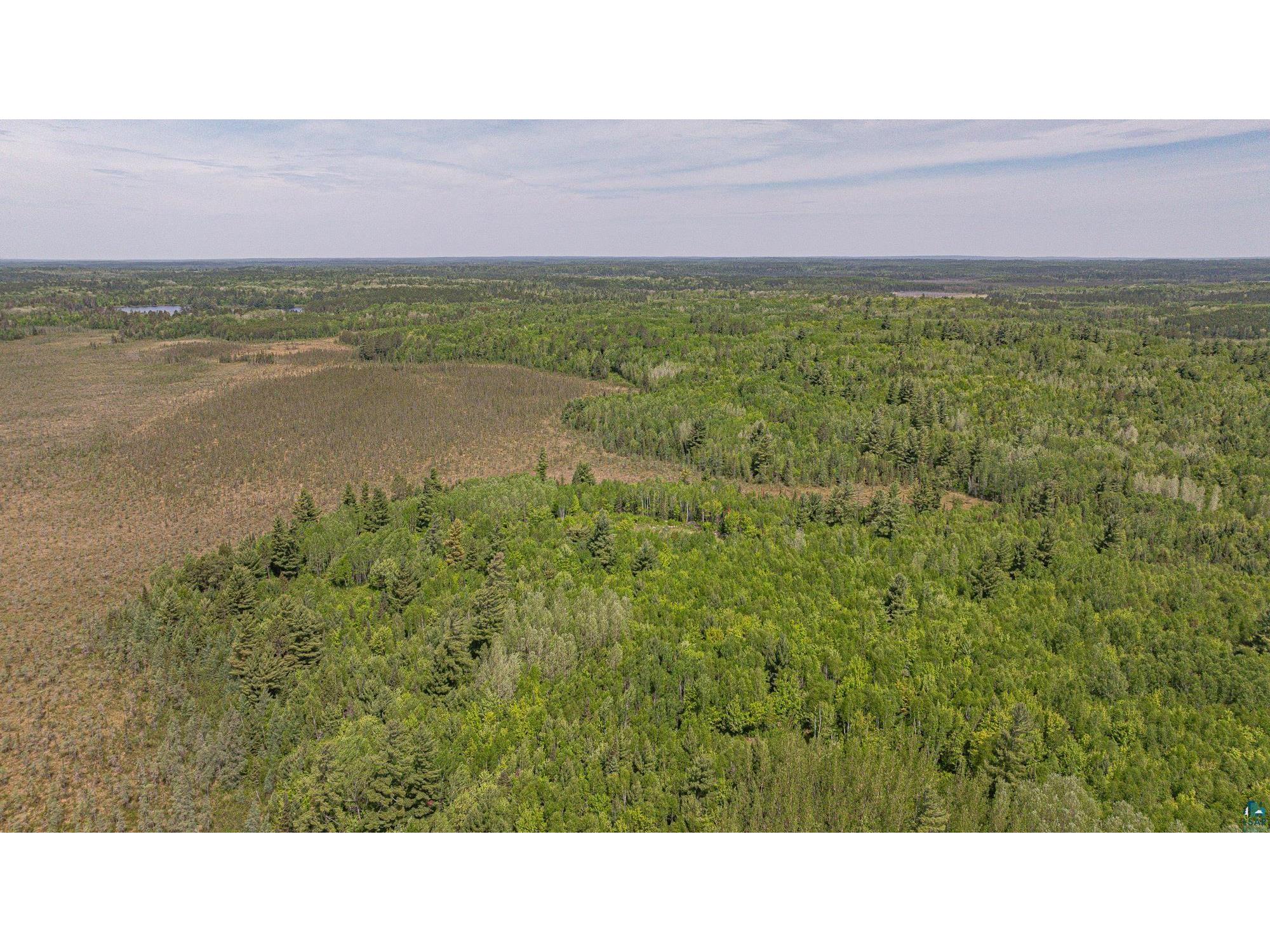 TBD Muckwa Lake Rd Babbitt MN 55706 6125860 image29
