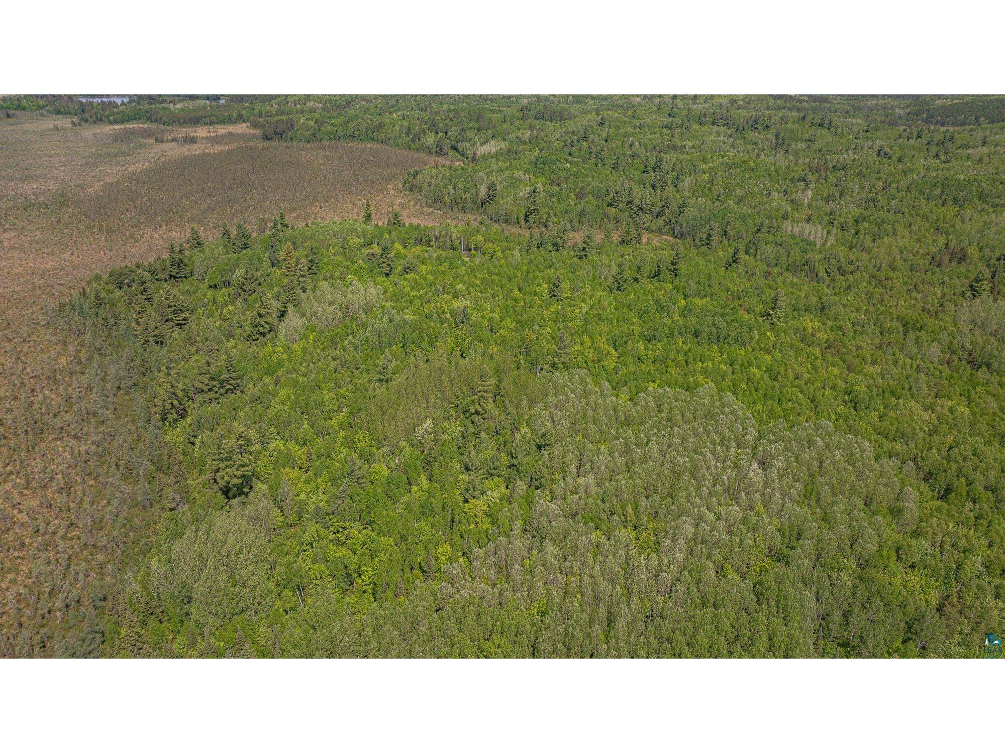 TBD Muckwa Lake Rd Babbitt MN 55706 6125860 image30