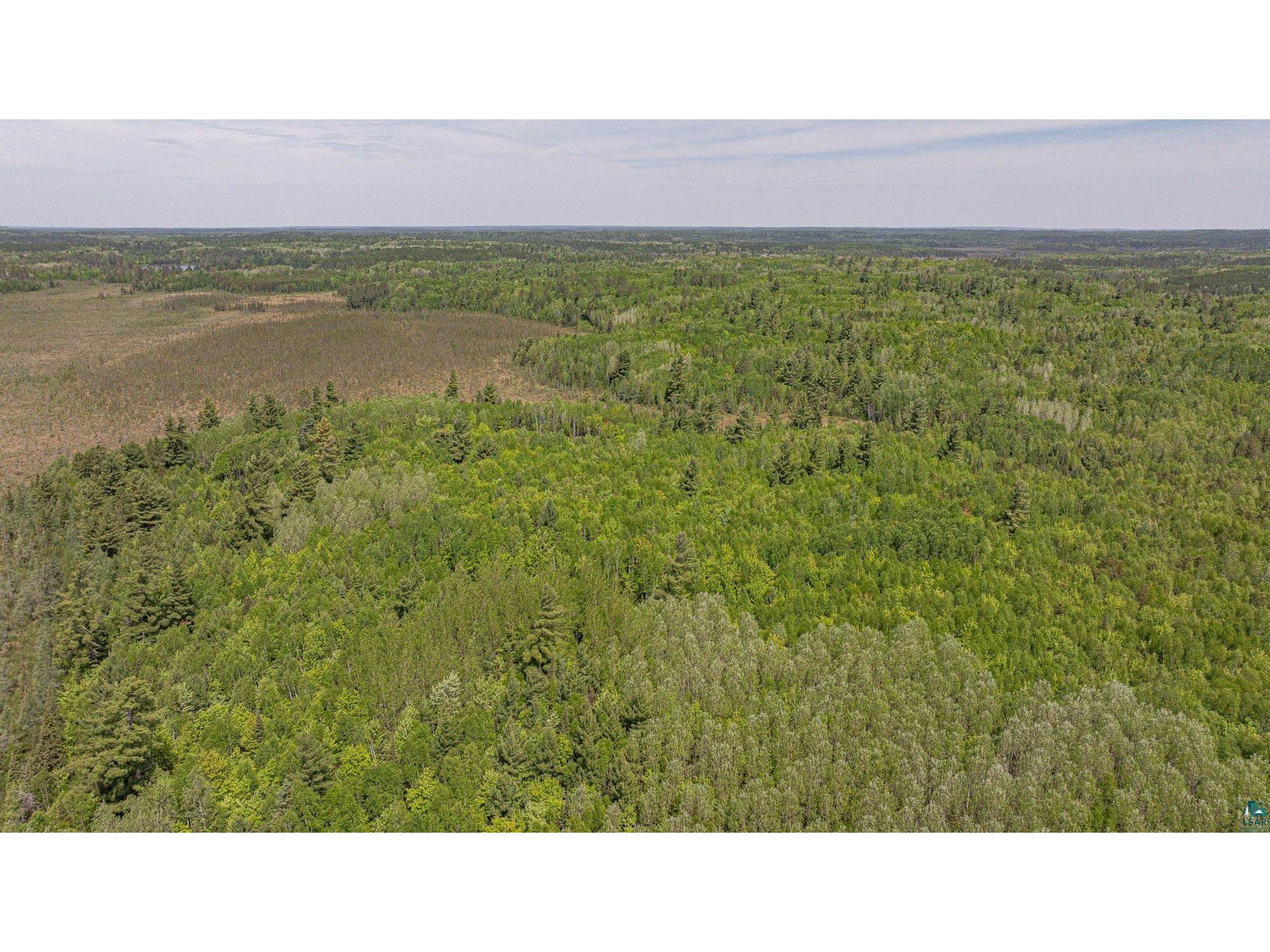 TBD Muckwa Lake Rd Babbitt MN 55706 6125860 image31