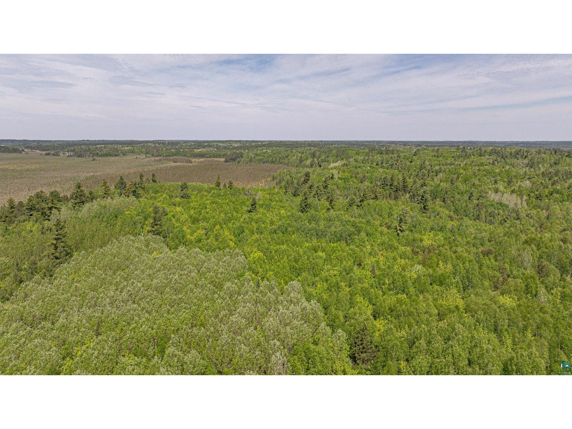 TBD Muckwa Lake Rd Babbitt MN 55706 6125860 image32