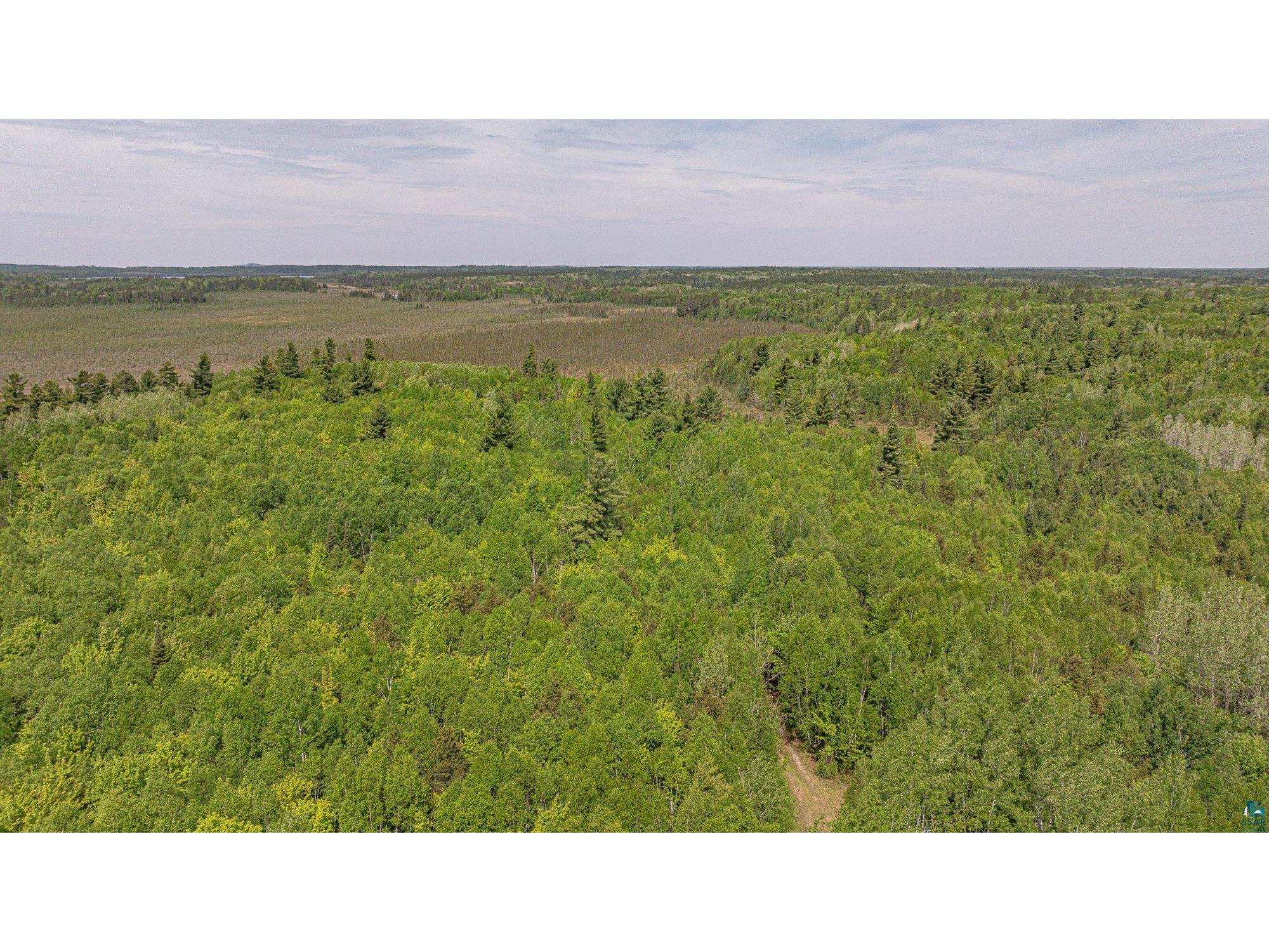 TBD Muckwa Lake Rd Babbitt MN 55706 6125860 image33