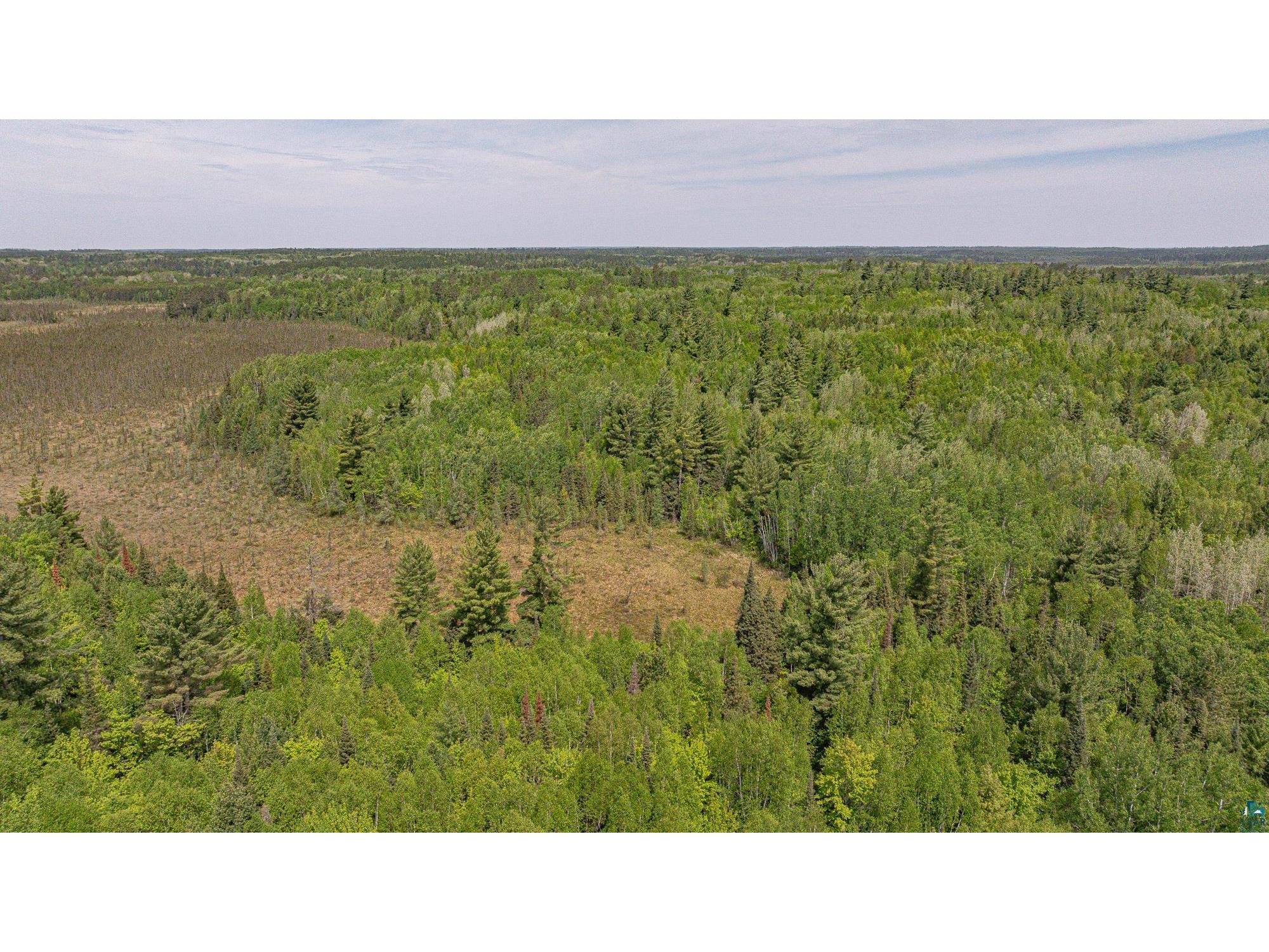 TBD Muckwa Lake Rd Babbitt MN 55706 6125860 image34