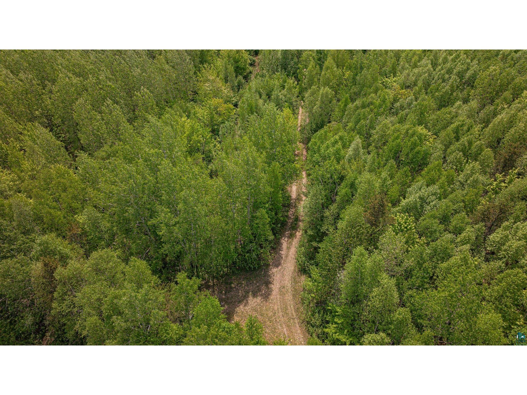 TBD Muckwa Lake Rd Babbitt MN 55706 6125860 image40