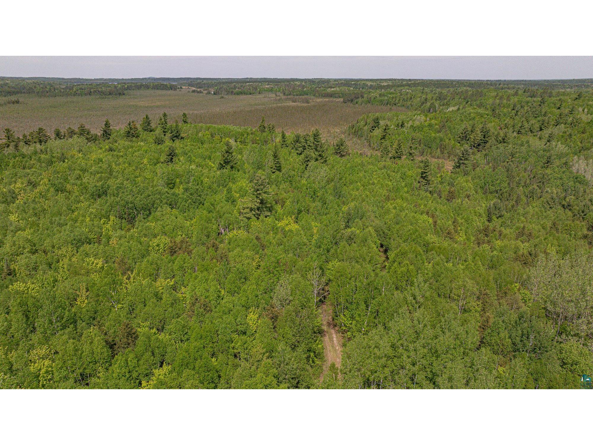 TBD Muckwa Lake Rd Babbitt MN 55706 6125860 image41