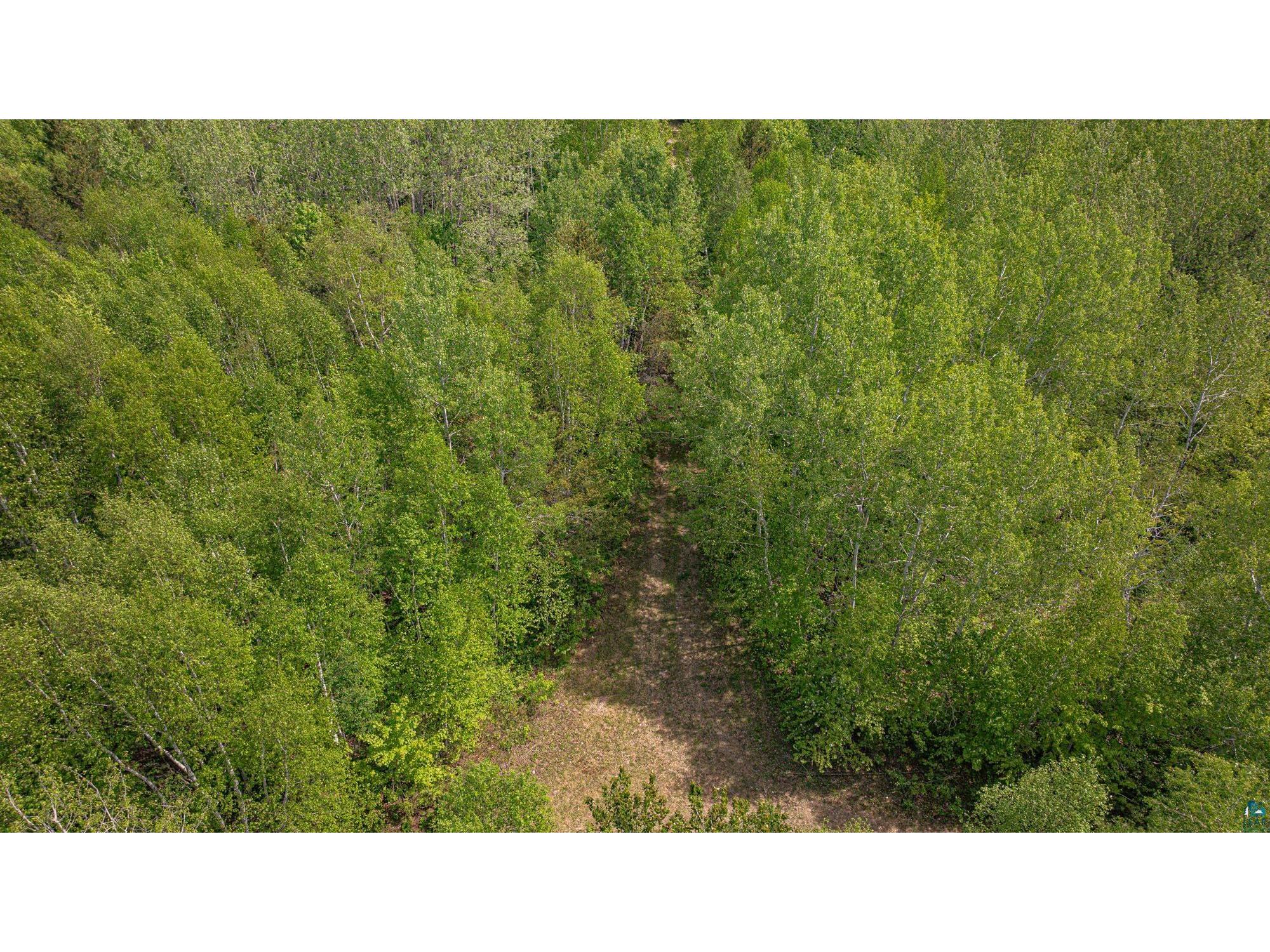TBD Muckwa Lake Rd Babbitt MN 55706 6125860 image42