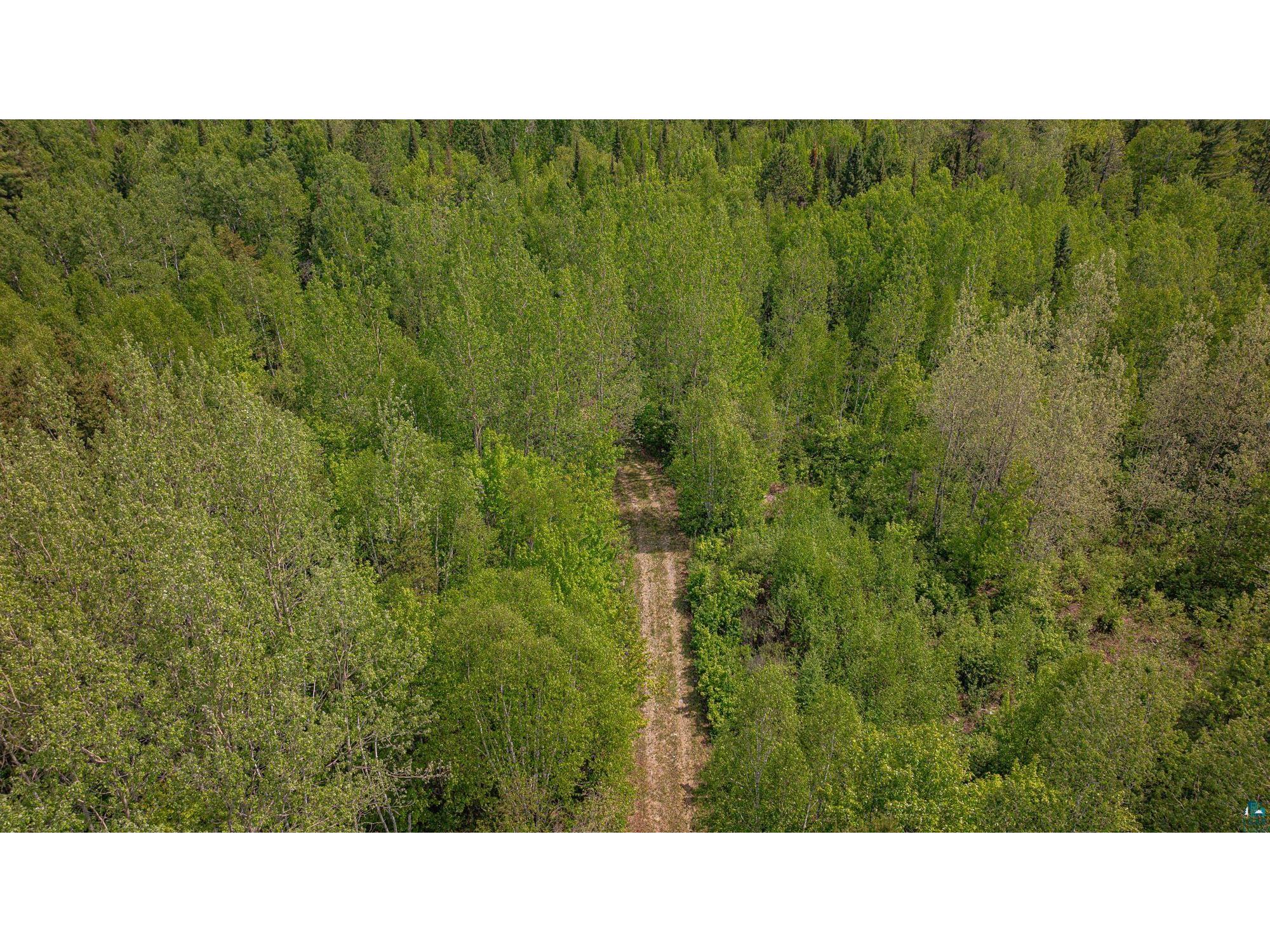 TBD Muckwa Lake Rd Babbitt MN 55706 6125860 image43