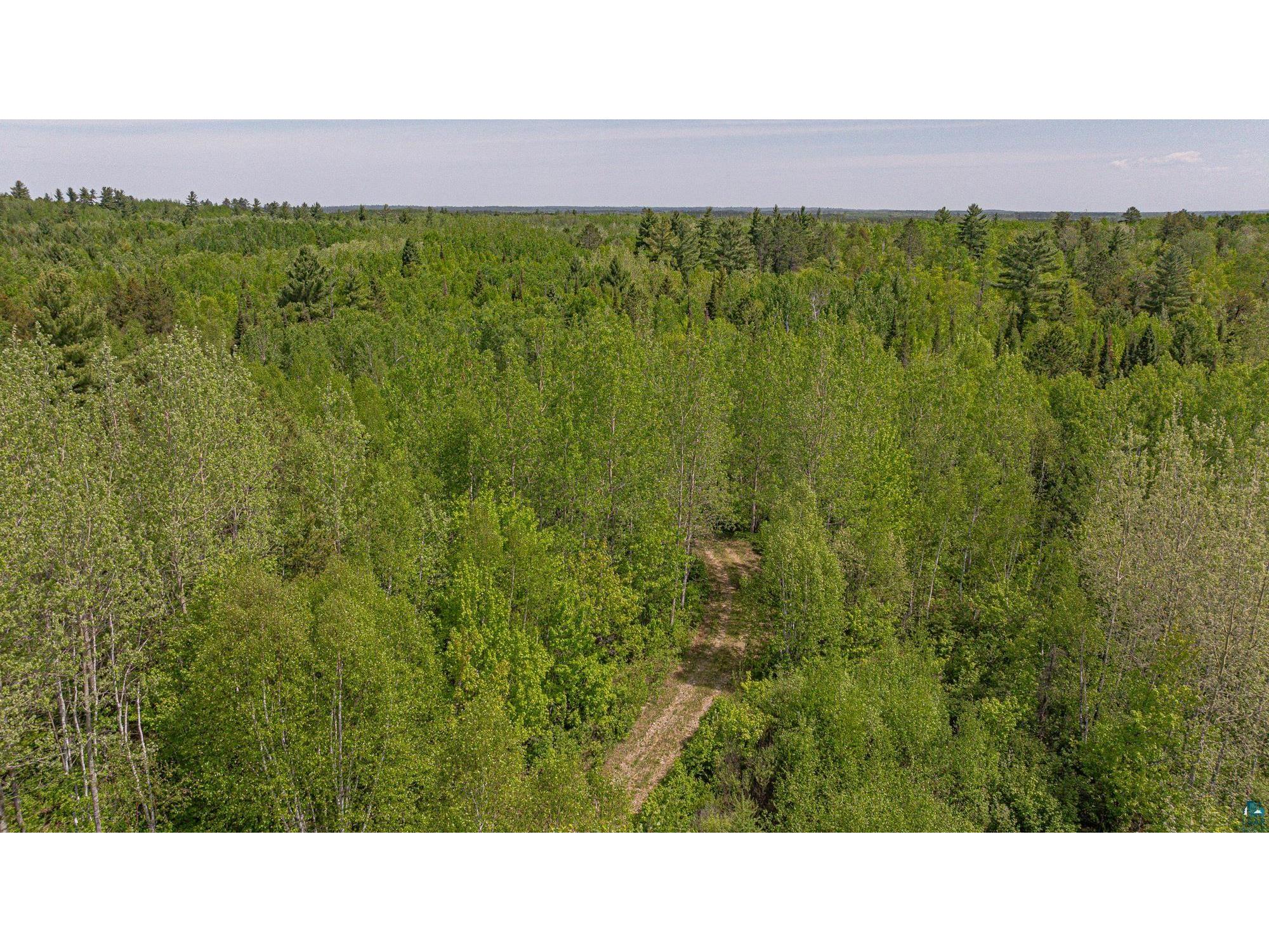 TBD Muckwa Lake Rd Babbitt MN 55706 6125860 image44