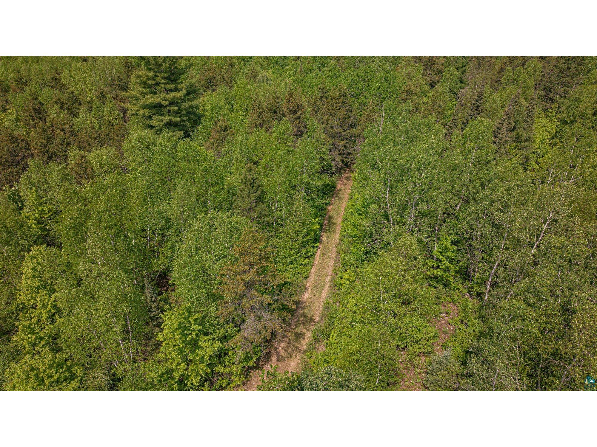 TBD Muckwa Lake Rd Babbitt MN 55706 6125860 image45