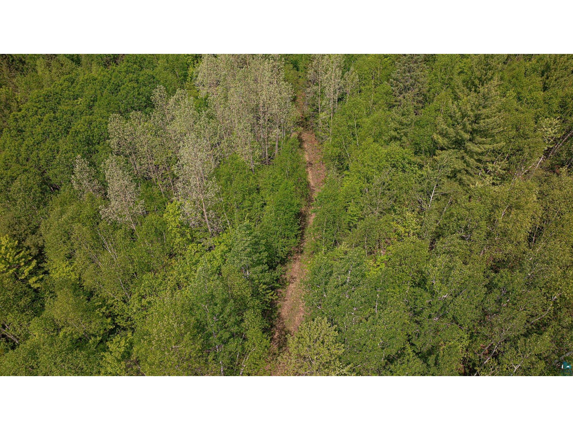 TBD Muckwa Lake Rd Babbitt MN 55706 6125860 image46