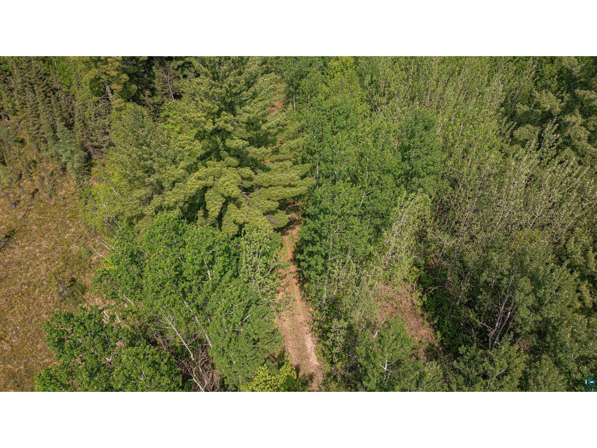 TBD Muckwa Lake Rd Babbitt MN 55706 6125860 image47