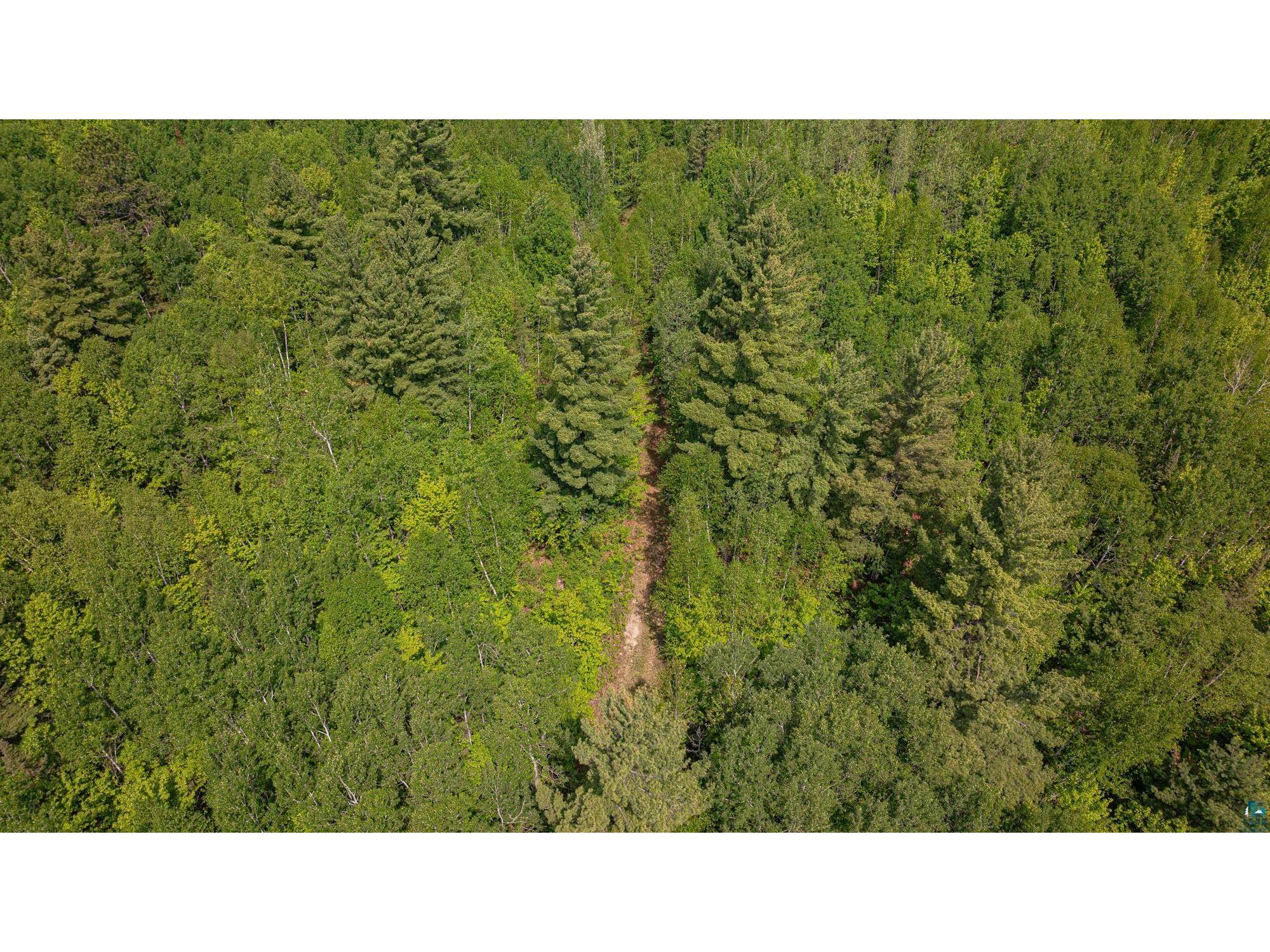 TBD Muckwa Lake Rd Babbitt MN 55706 6125860 image48