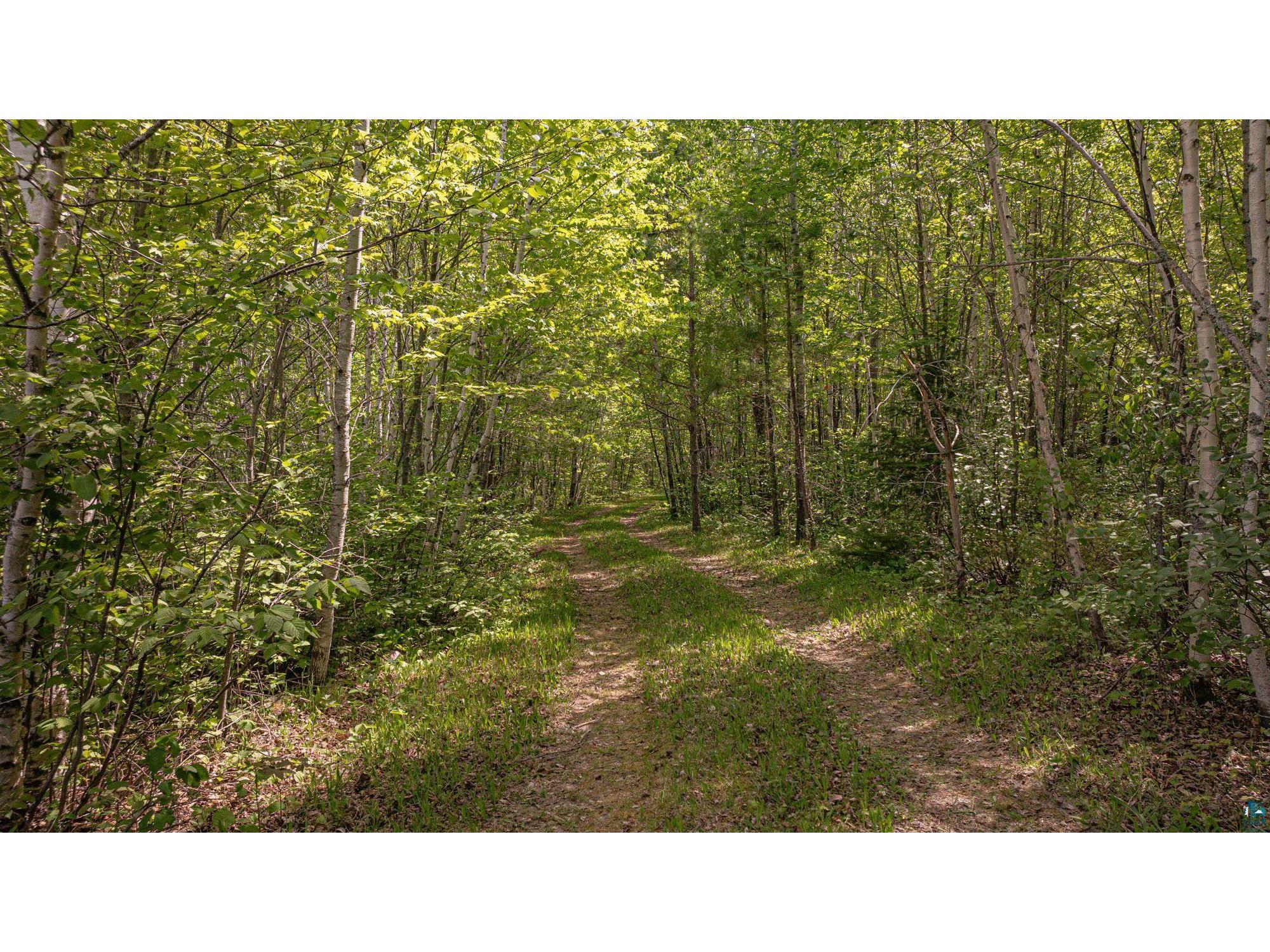 TBD Muckwa Lake Rd Babbitt MN 55706 6125860 image53