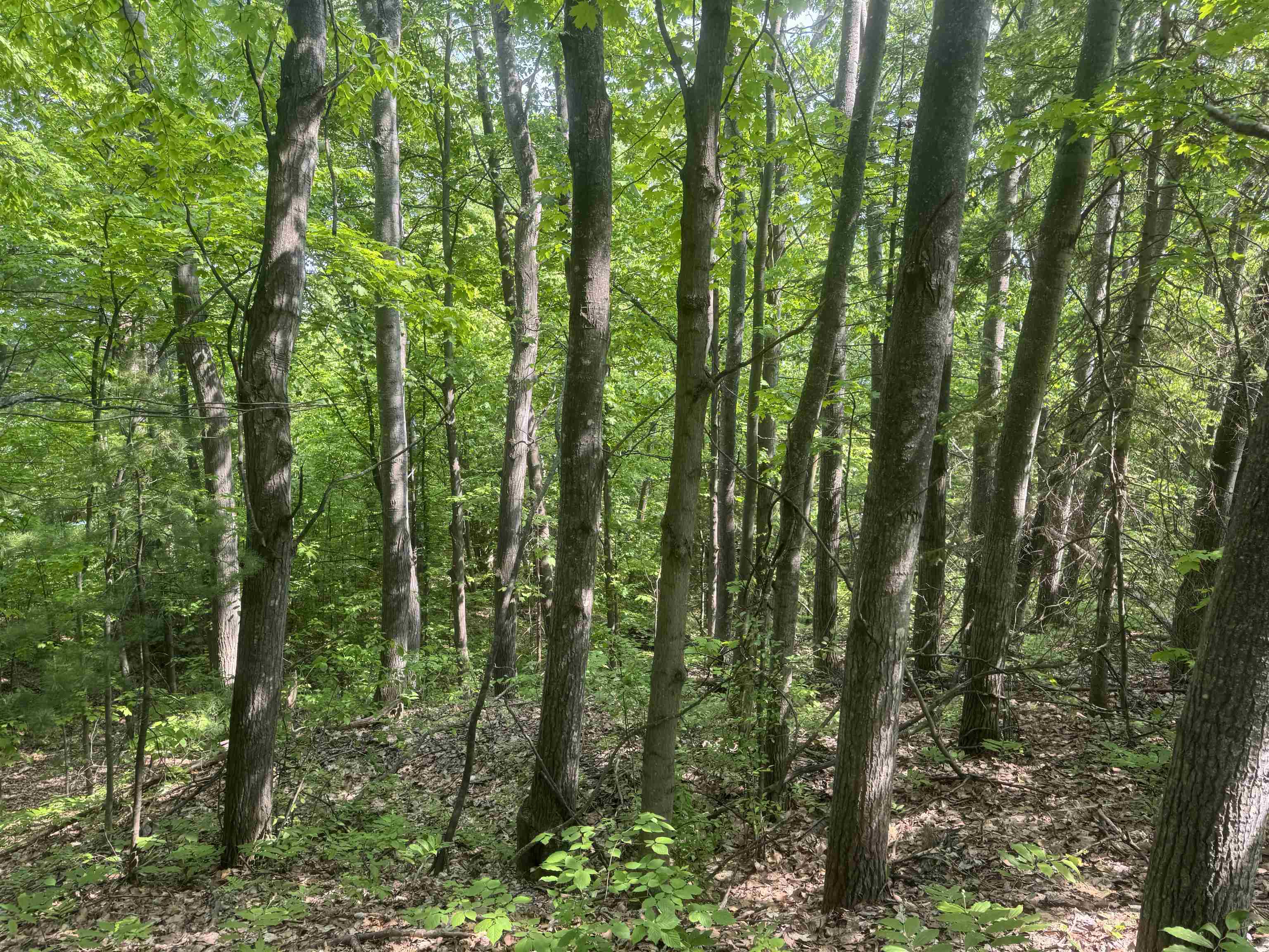 TBD N 6th St Bayfield WI 54814 6118087 image1