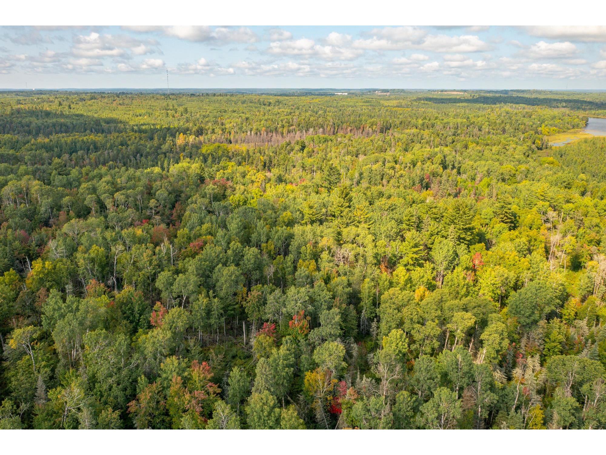 TBD N White Iron Rd Ely MN 55731 6122012 image11