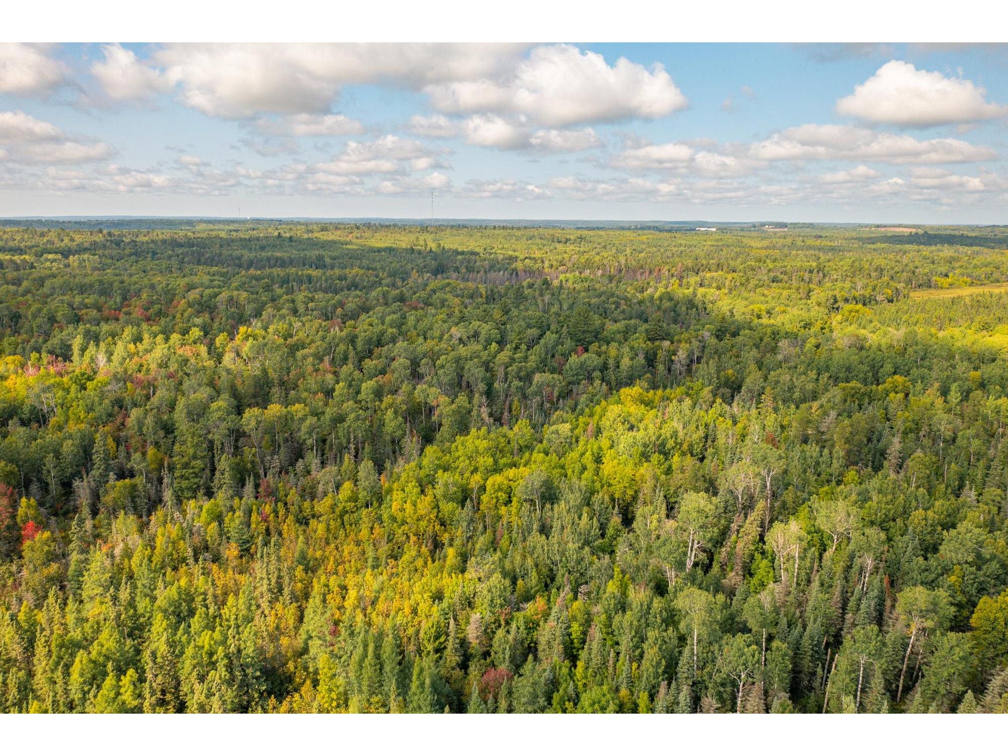 TBD N White Iron Rd Ely MN 55731 6122012 image12