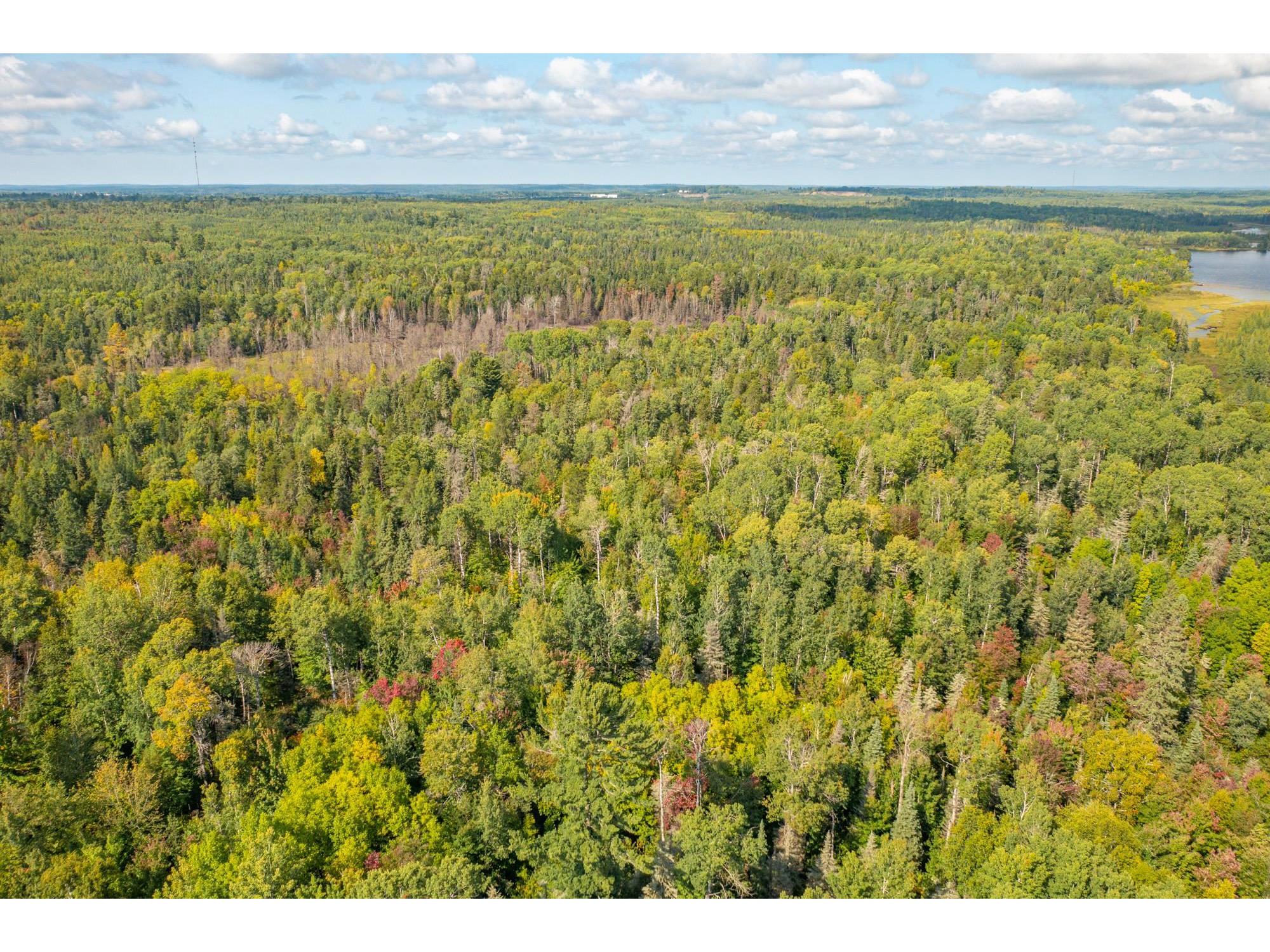 TBD N White Iron Rd Ely MN 55731 6122012 image13