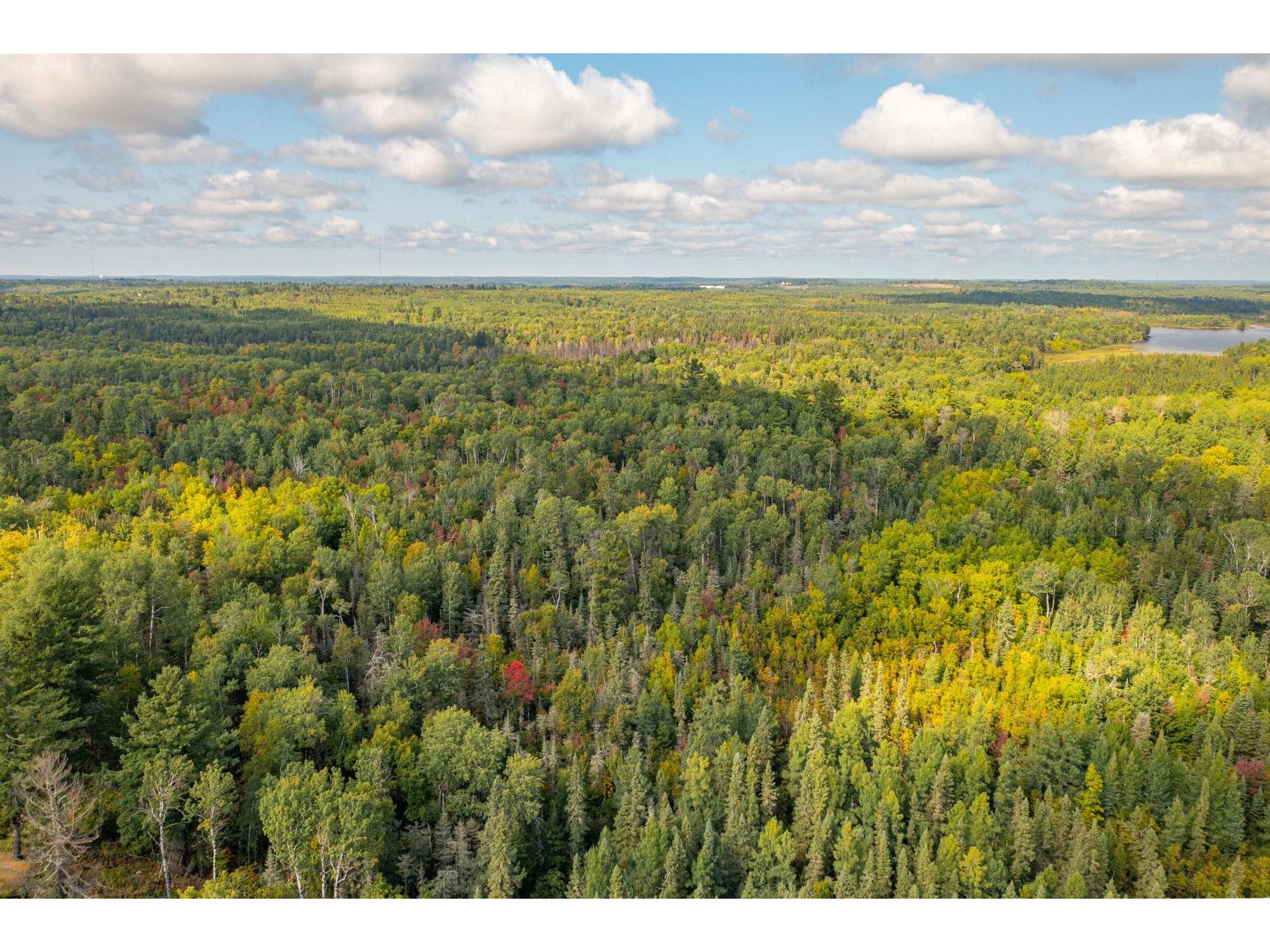 TBD N White Iron Rd Ely MN 55731 6122012 image3