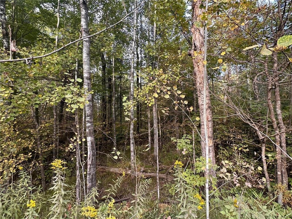 TBD Old Vermilion Tr Duluth MN 55803 6122195 image15