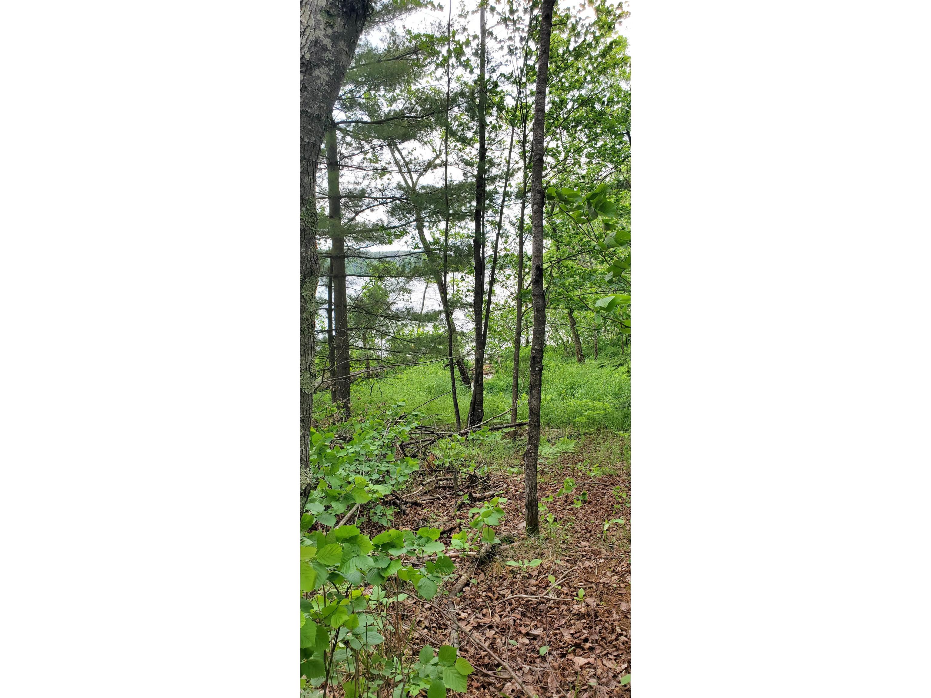 TBD Palm Dr Gilbert MN 55741 6120070 image1