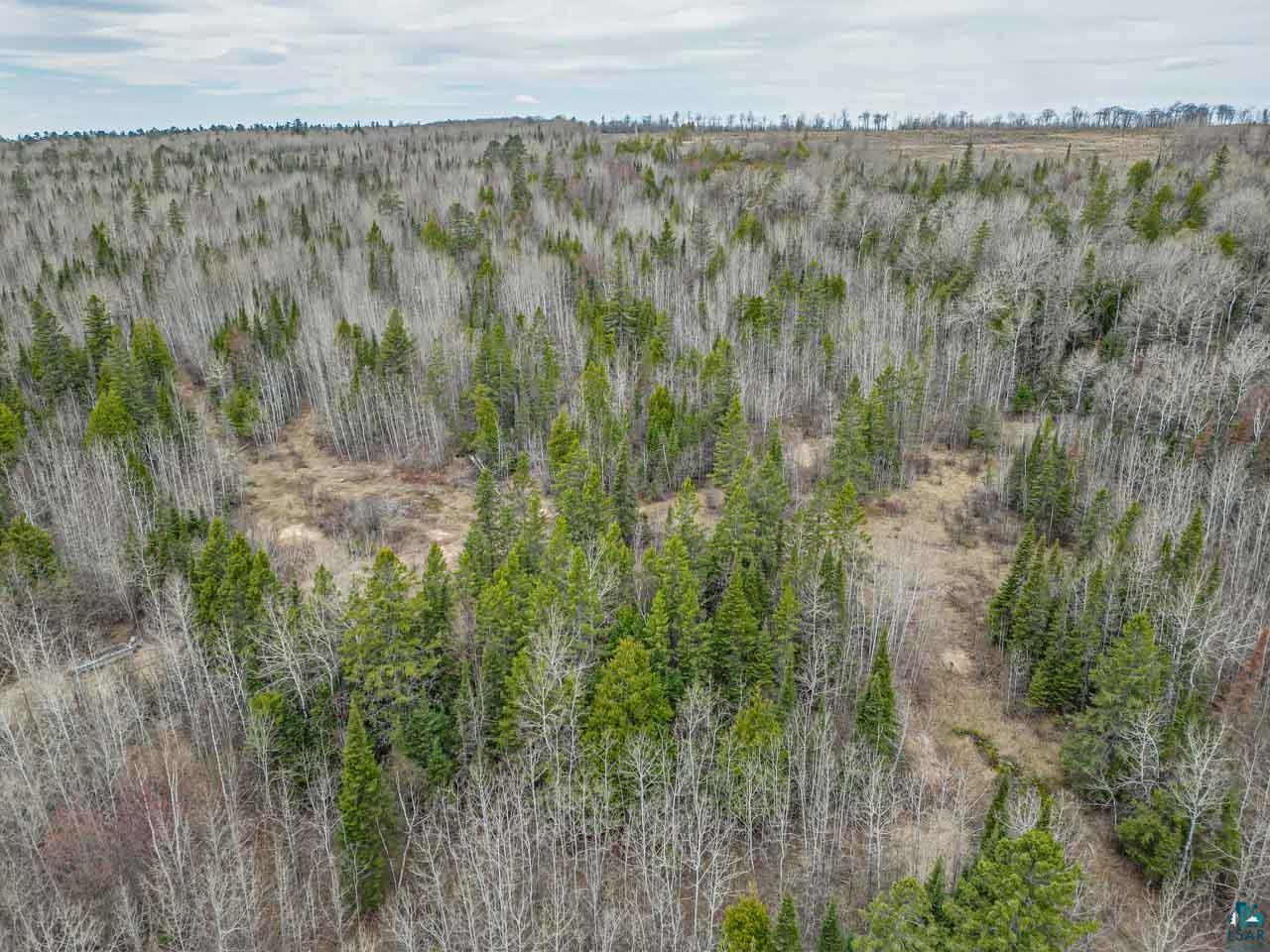 TBD Pebble Pl Gilbert MN 55741 6125152 image17