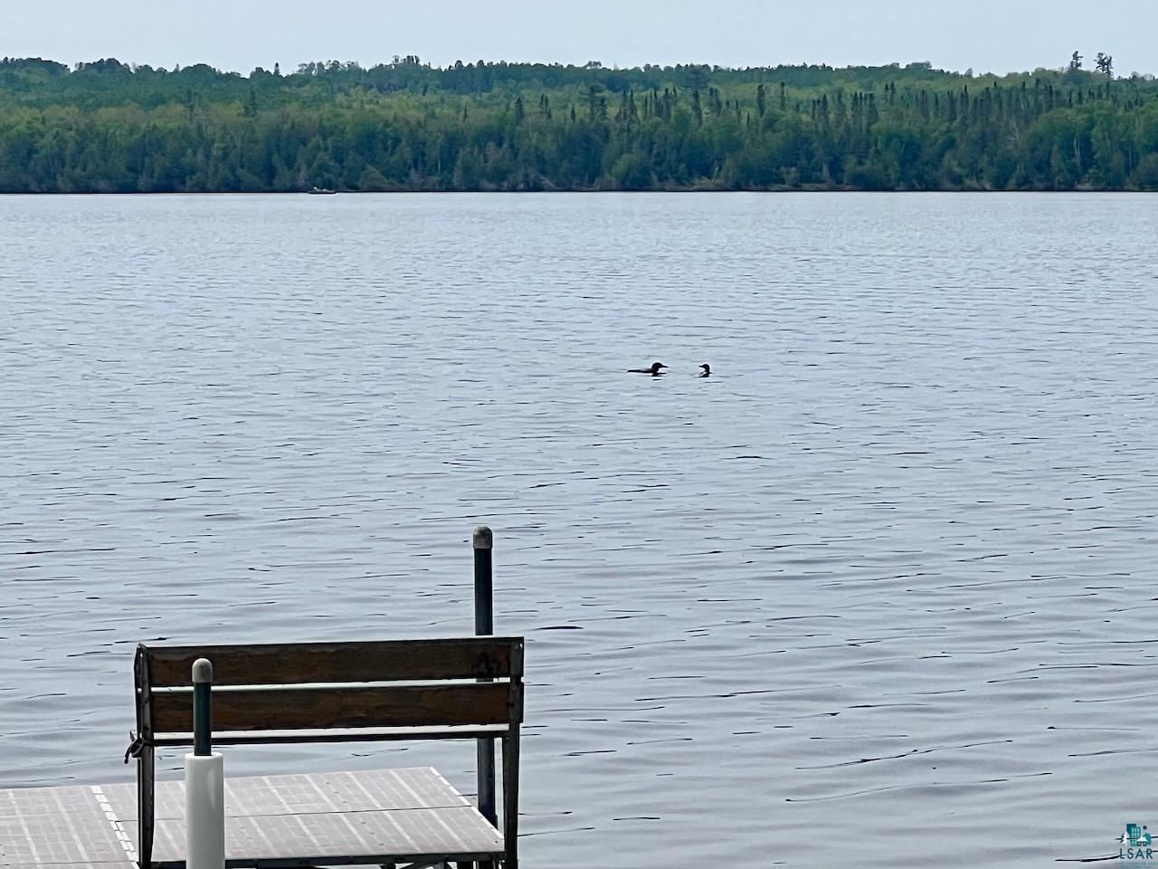 TBD Pelican Lake Island Orr MN 55771 - Pelican 6124497 image21