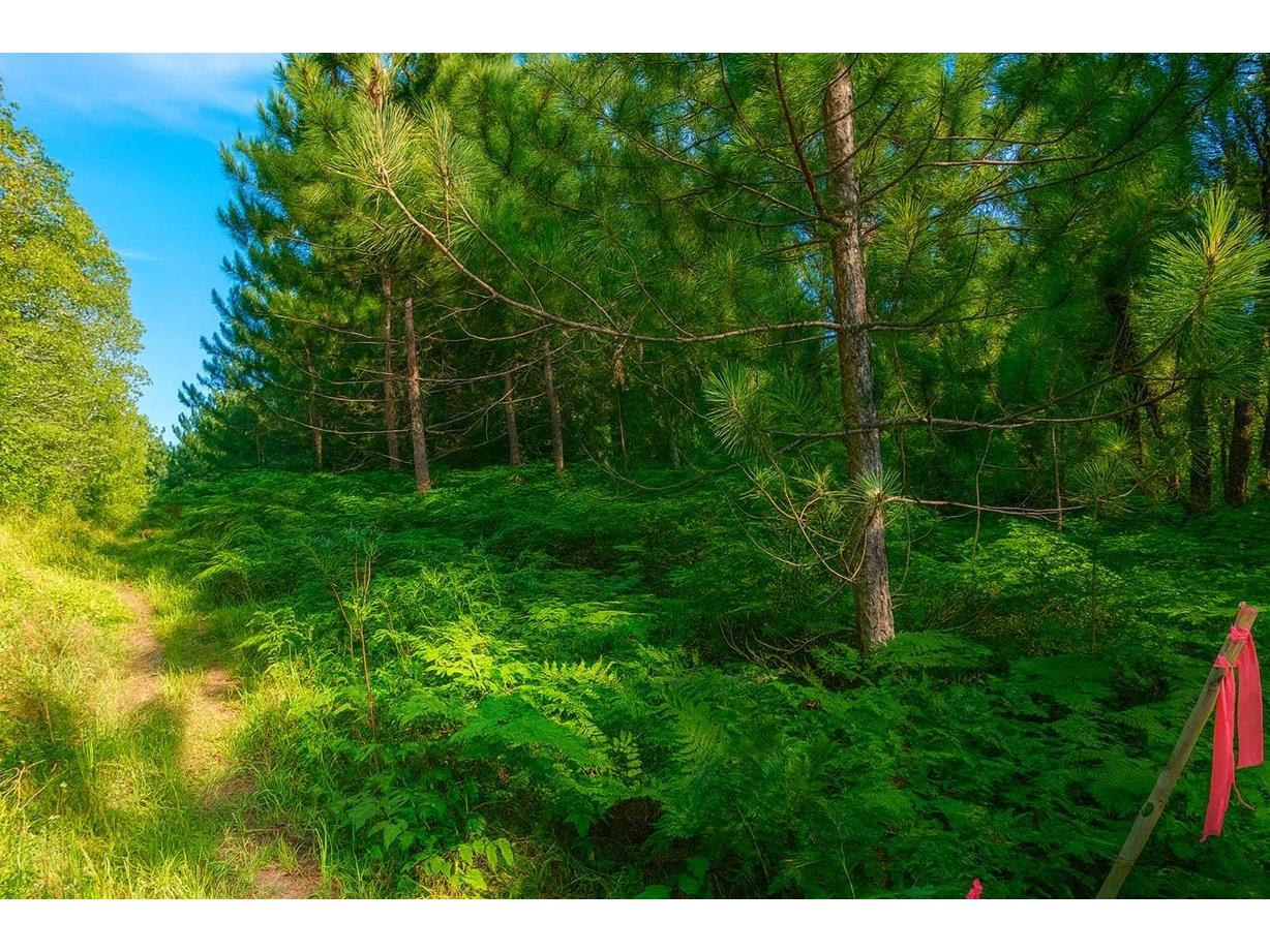 TBD Parcel 9 Power Line Road Iron River WI 54847 6122640 image12
