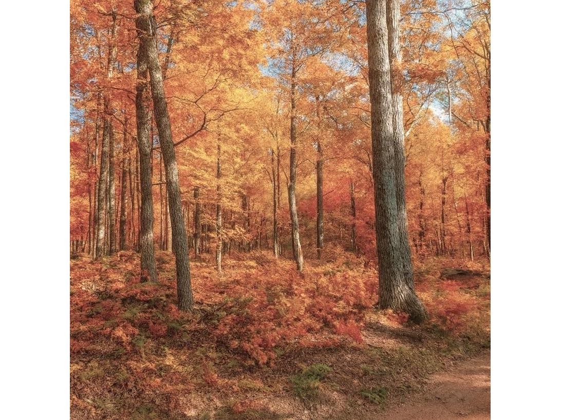 TBD Parcel 9 Power Line Road Iron River WI 54847 6122640 image4