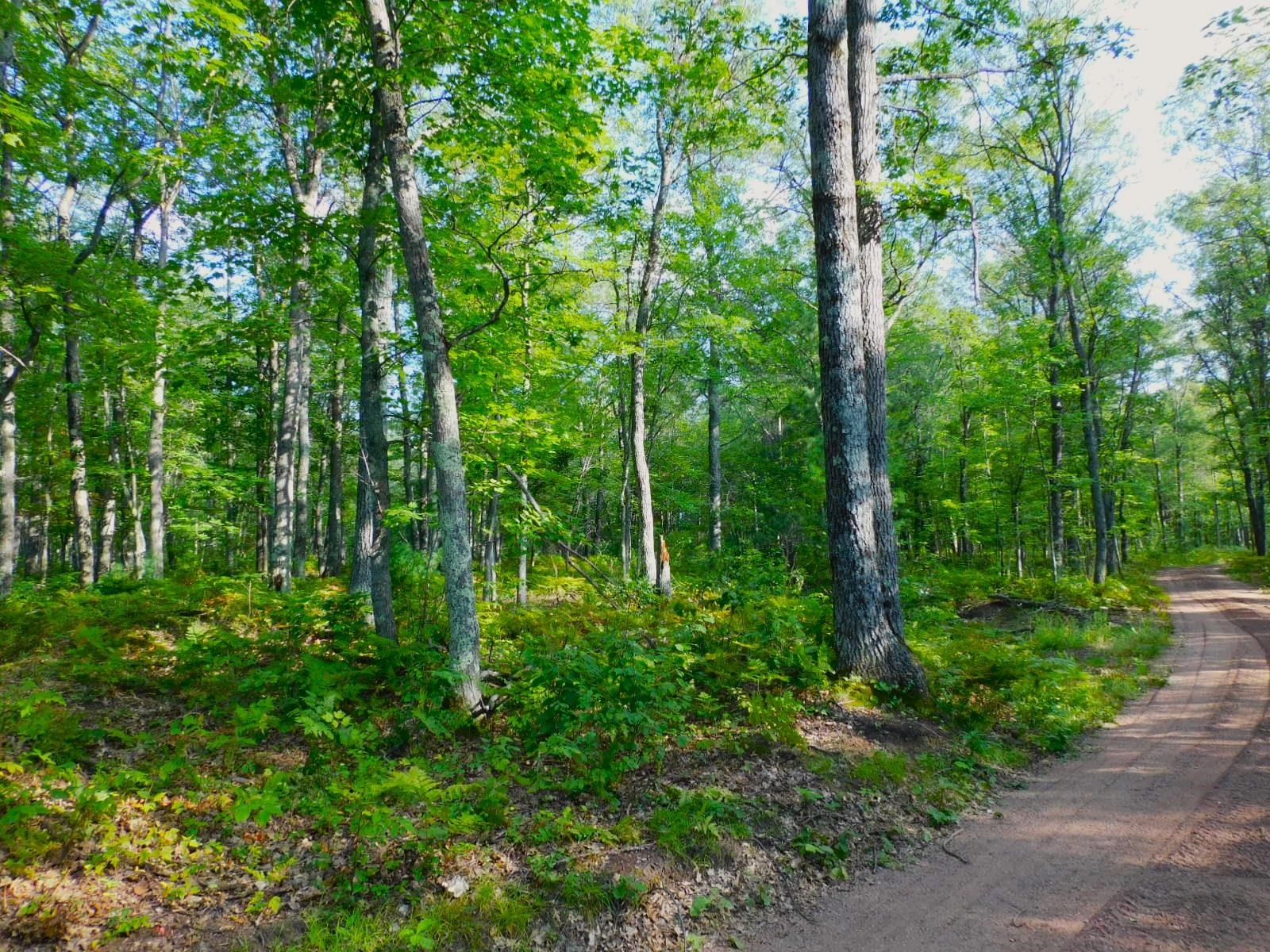 TBD Parcel 9 Power Line Road Iron River WI 54847 6122640 image5