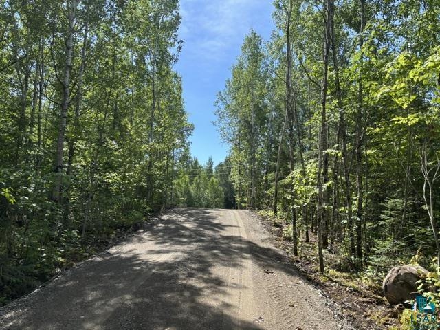 TBD Powerhouse Trail Ely MN 55731 - Fall 6126592 image10