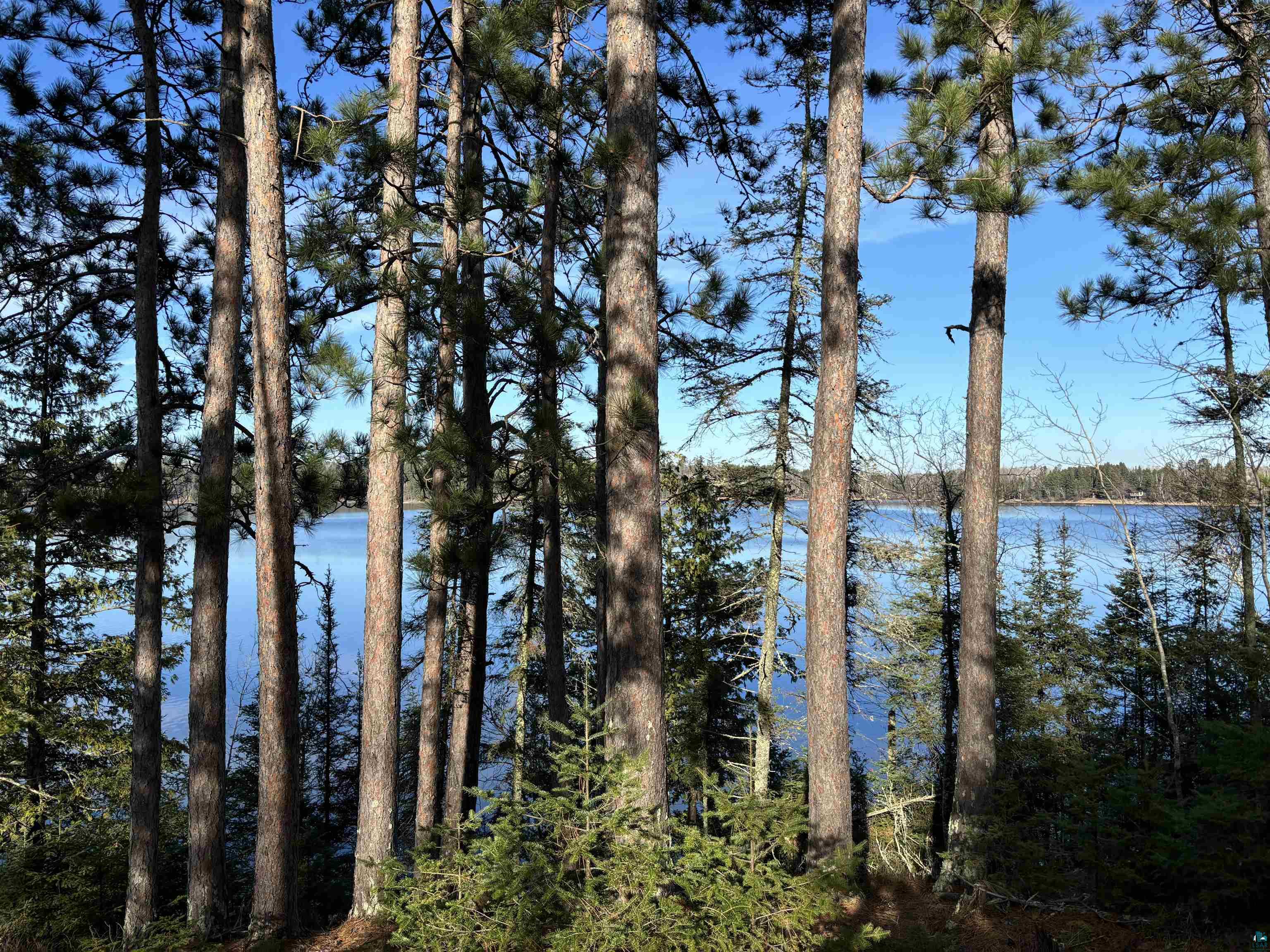 TBD Powerhouse Trail Ely MN 55731 - Fall 6126592 image2