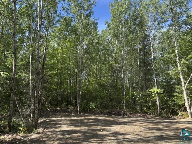 TBD Powerhouse Trail Ely MN 55731 - Fall 6126592 image9