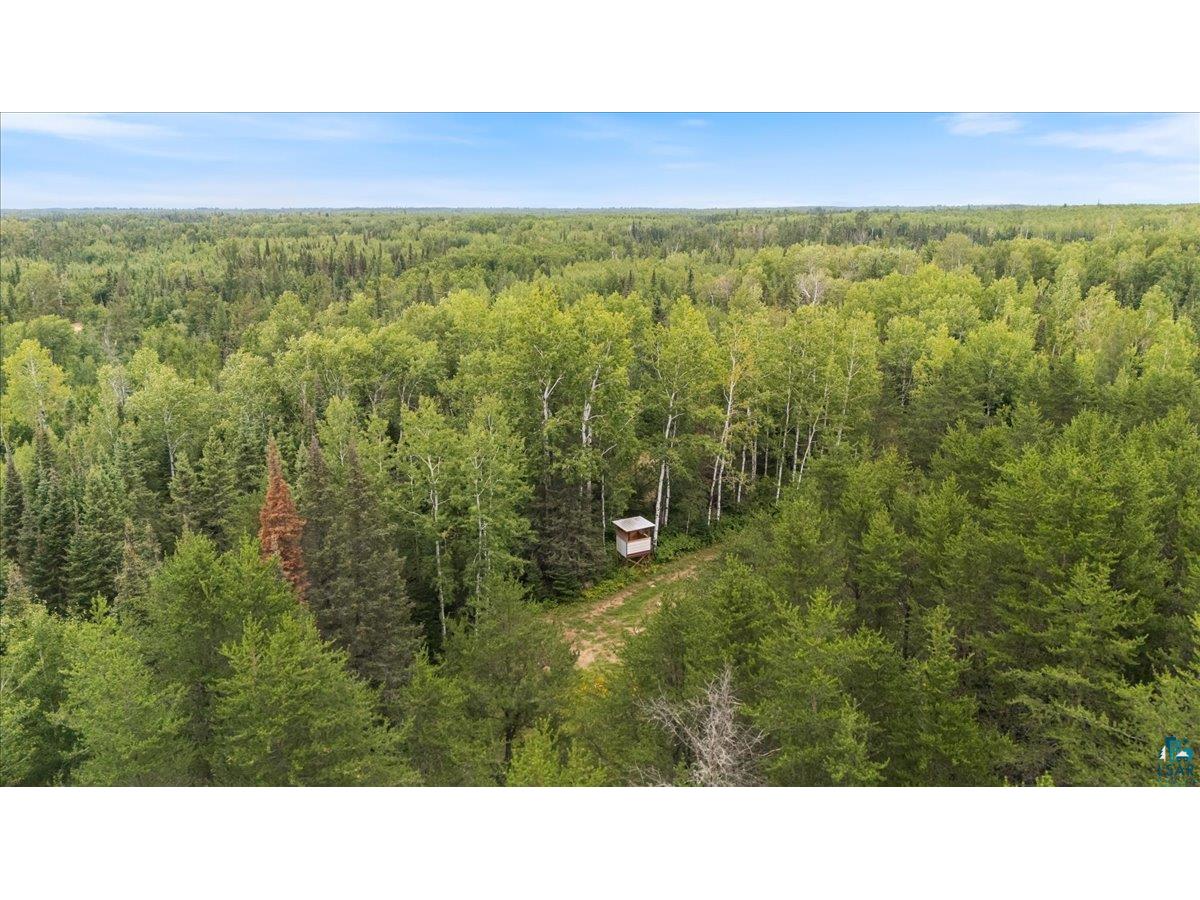 TBD Pulkinen Rd Embarrass MN 55732 6115182 image1