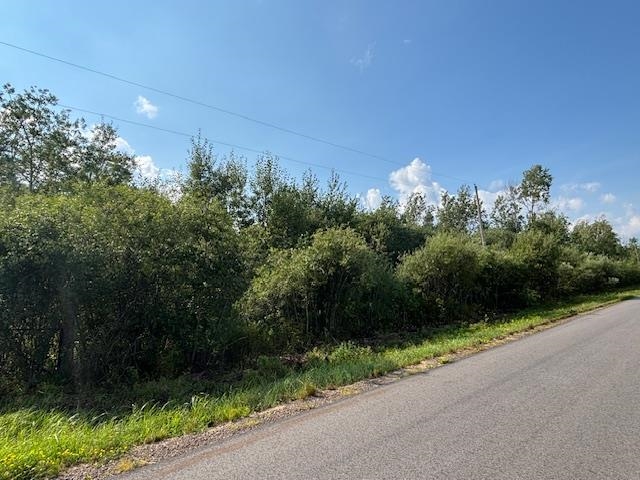 TBD S Pintar Rd Hibbing MN 55746 6121275 image1