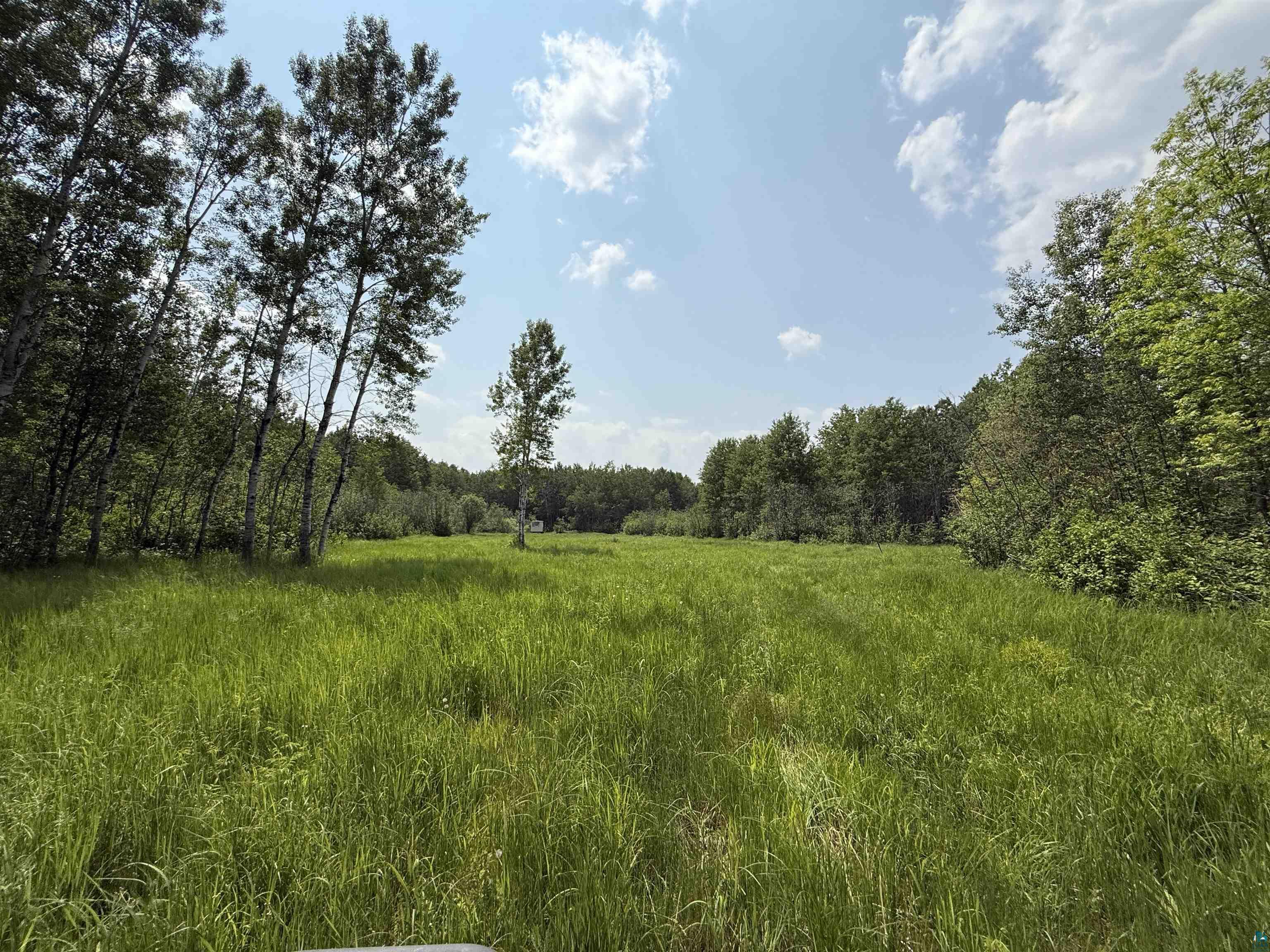 TBD Samuelson Rd Angora MN 55703 6118244 image10