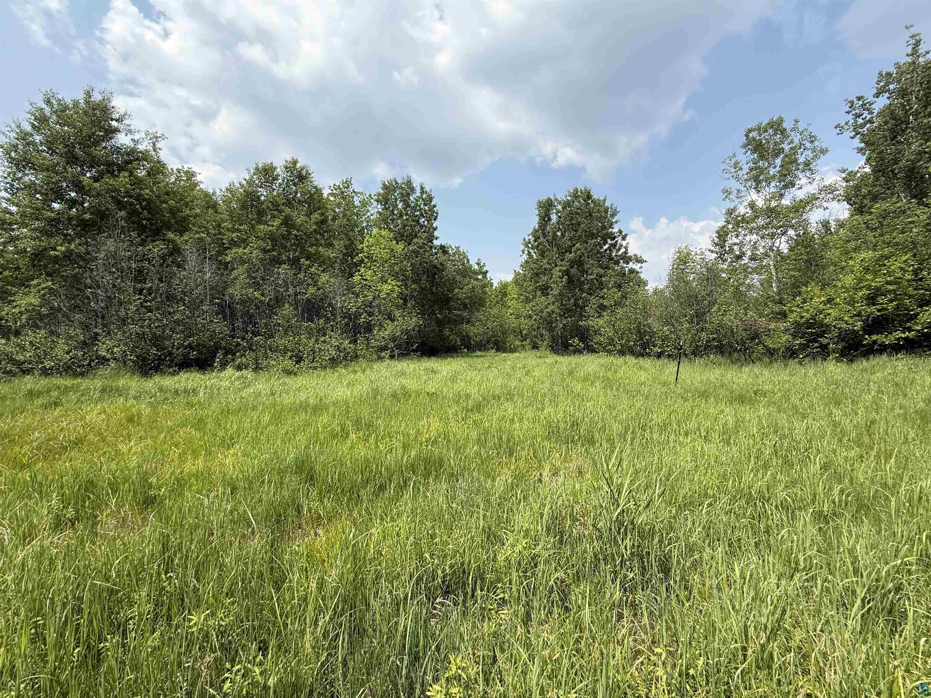 TBD Samuelson Rd Angora MN 55703 6118244 image11