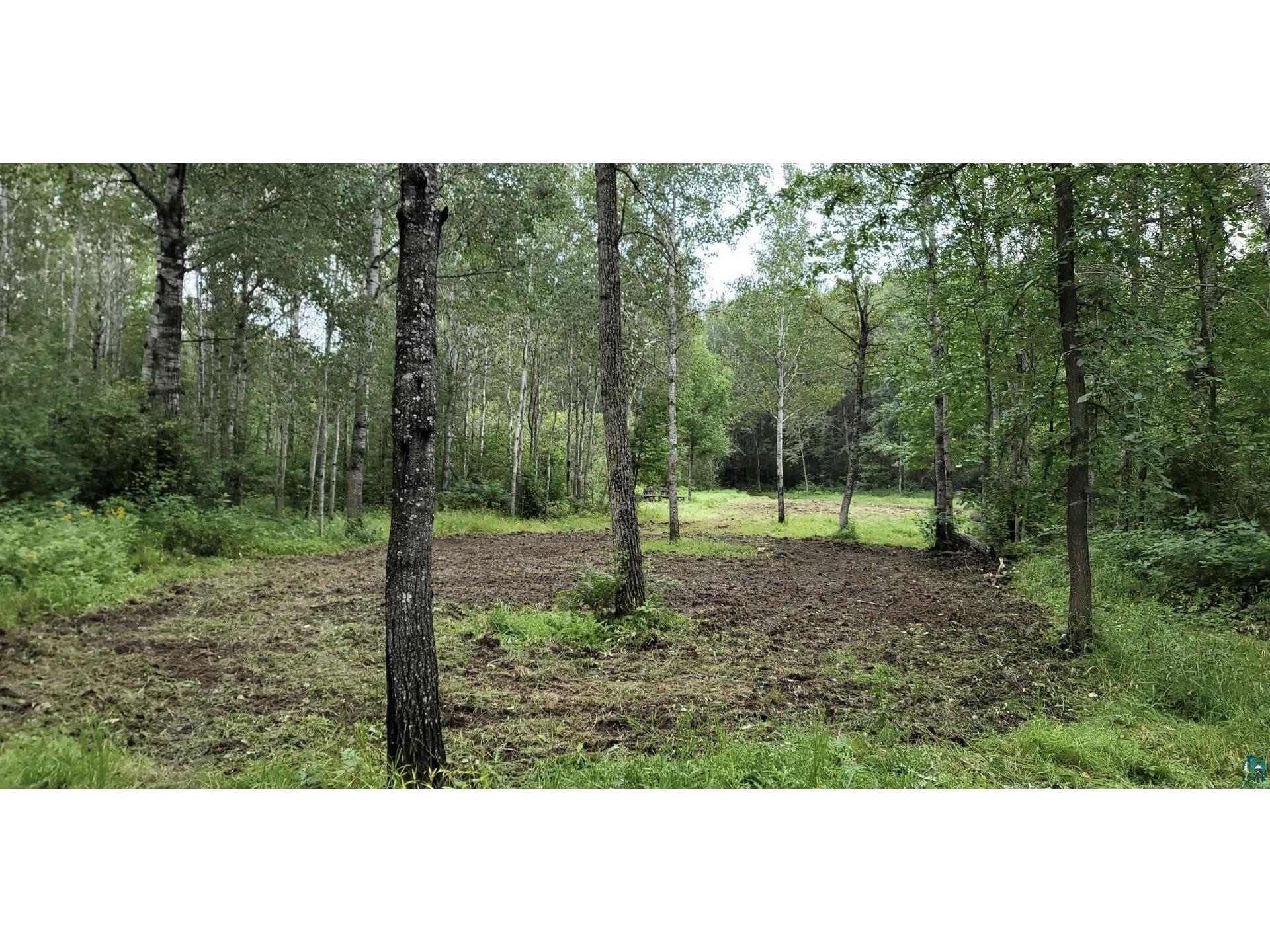 TBD Samuelson Rd Angora MN 55703 6118244 image13