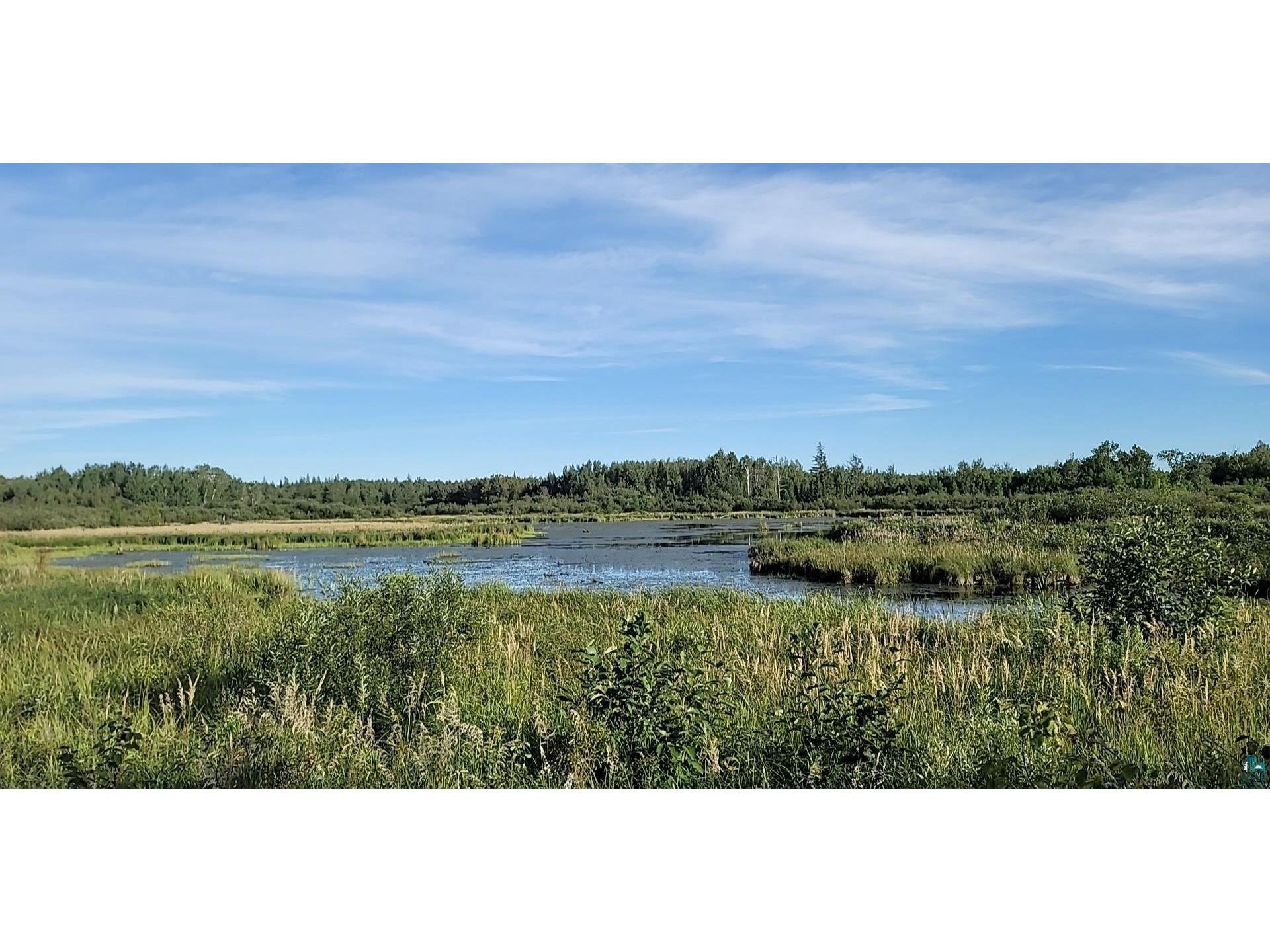 TBD Samuelson Rd Angora MN 55703 6118244 image14