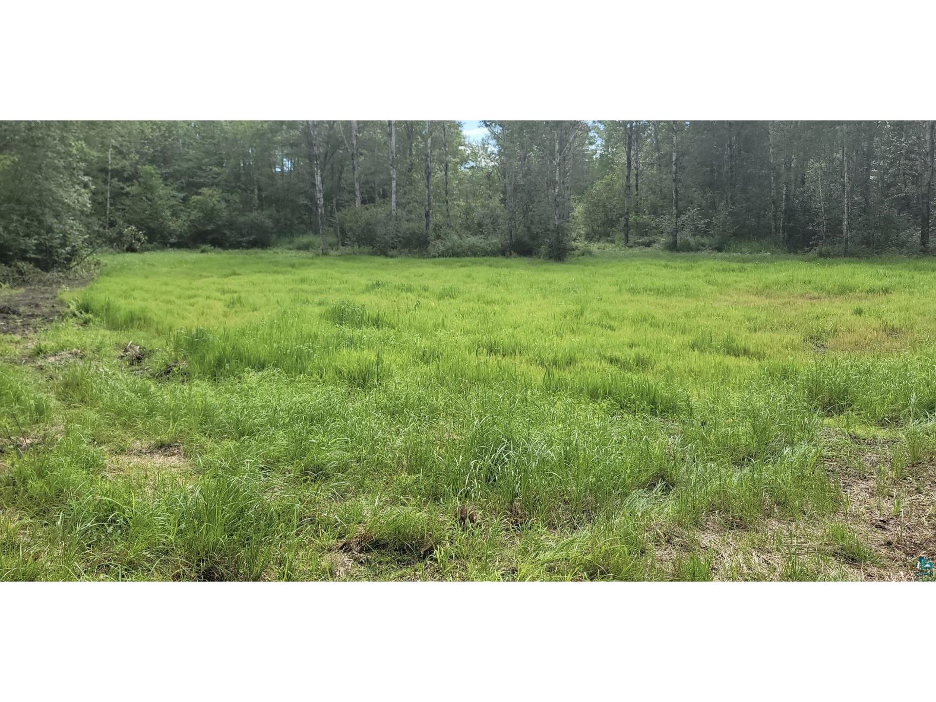 TBD Samuelson Rd Angora MN 55703 6118244 image16