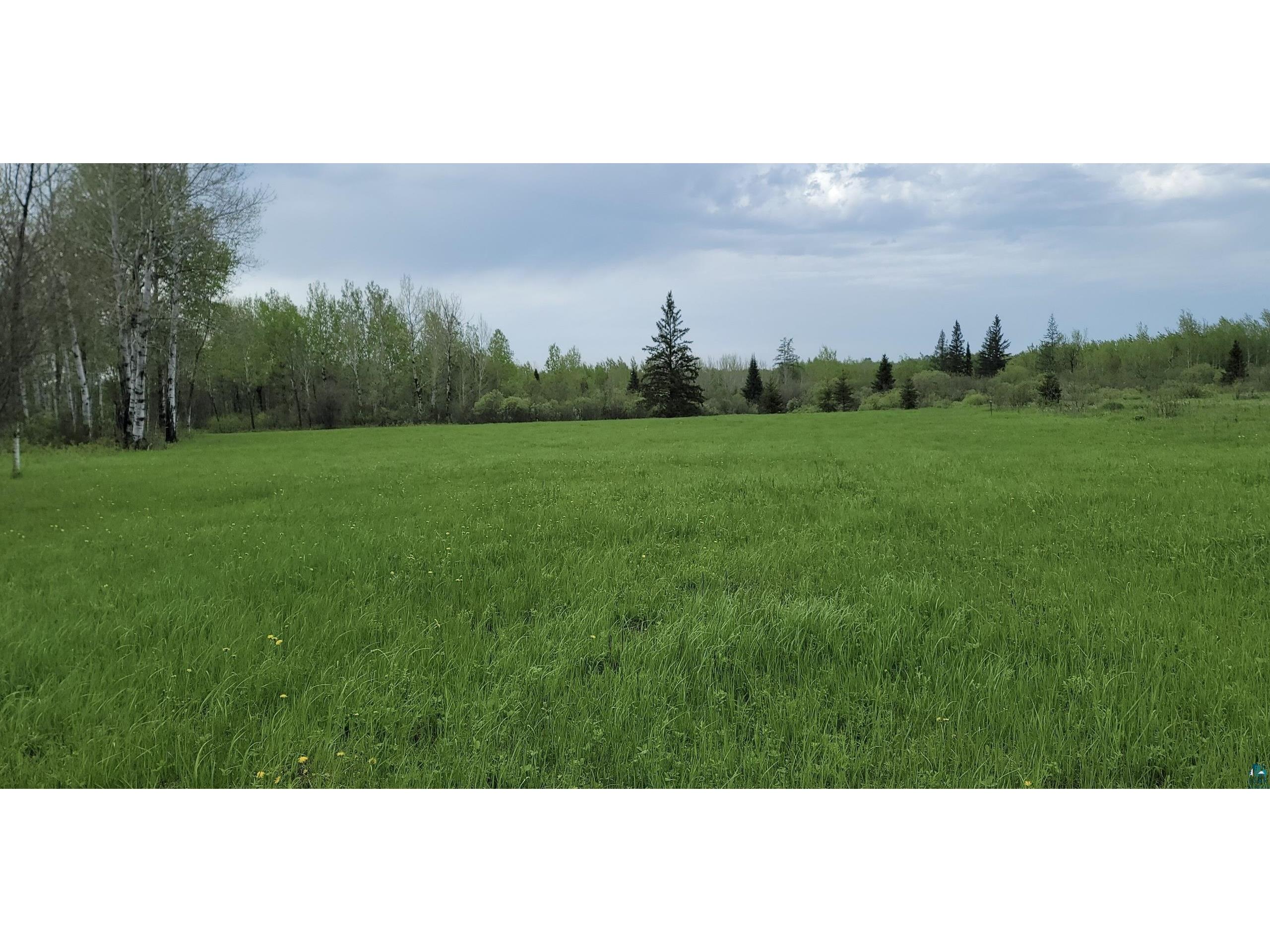 TBD Samuelson Rd Angora MN 55703 6118244 image17