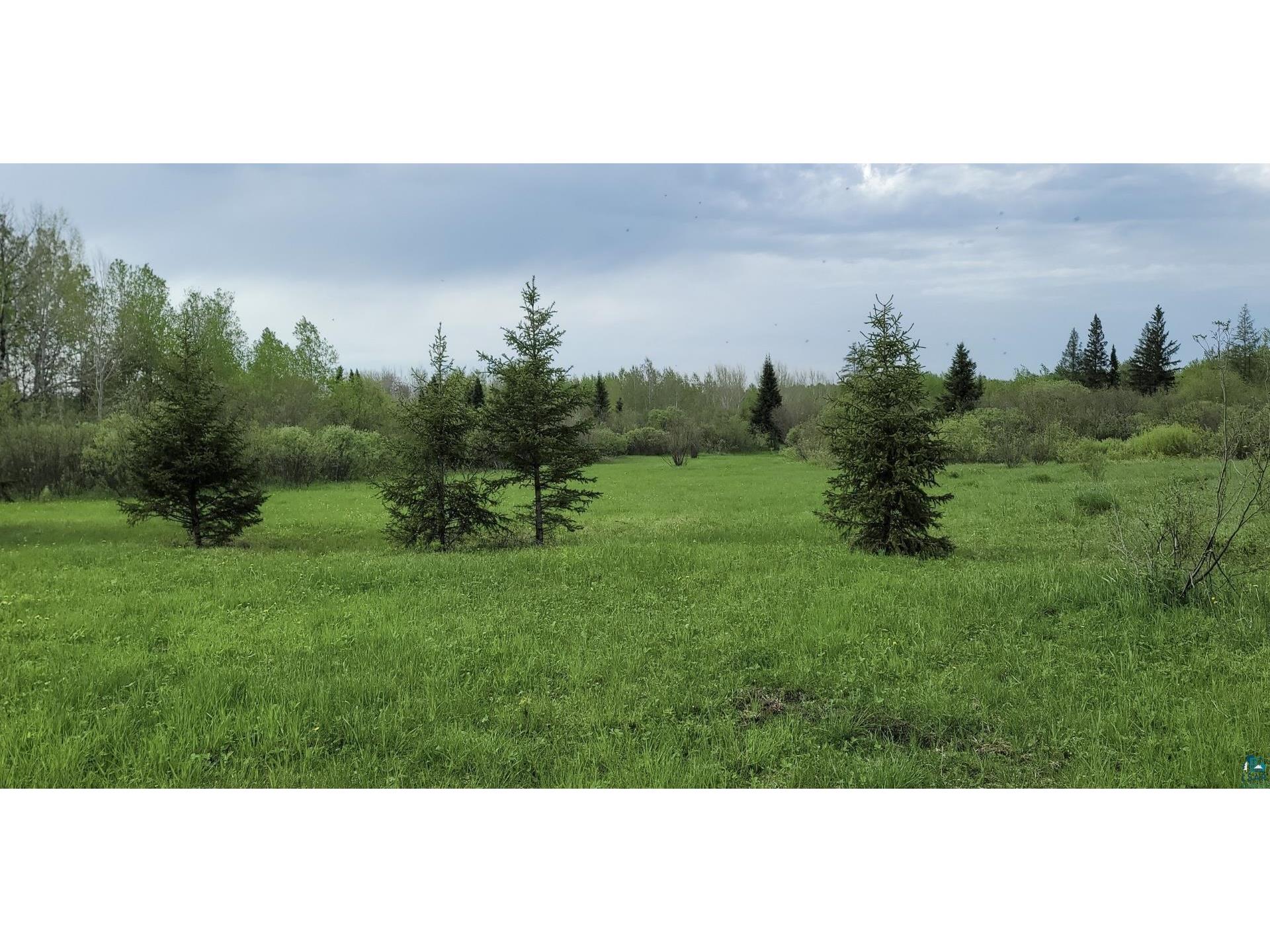 TBD Samuelson Rd Angora MN 55703 6118244 image18
