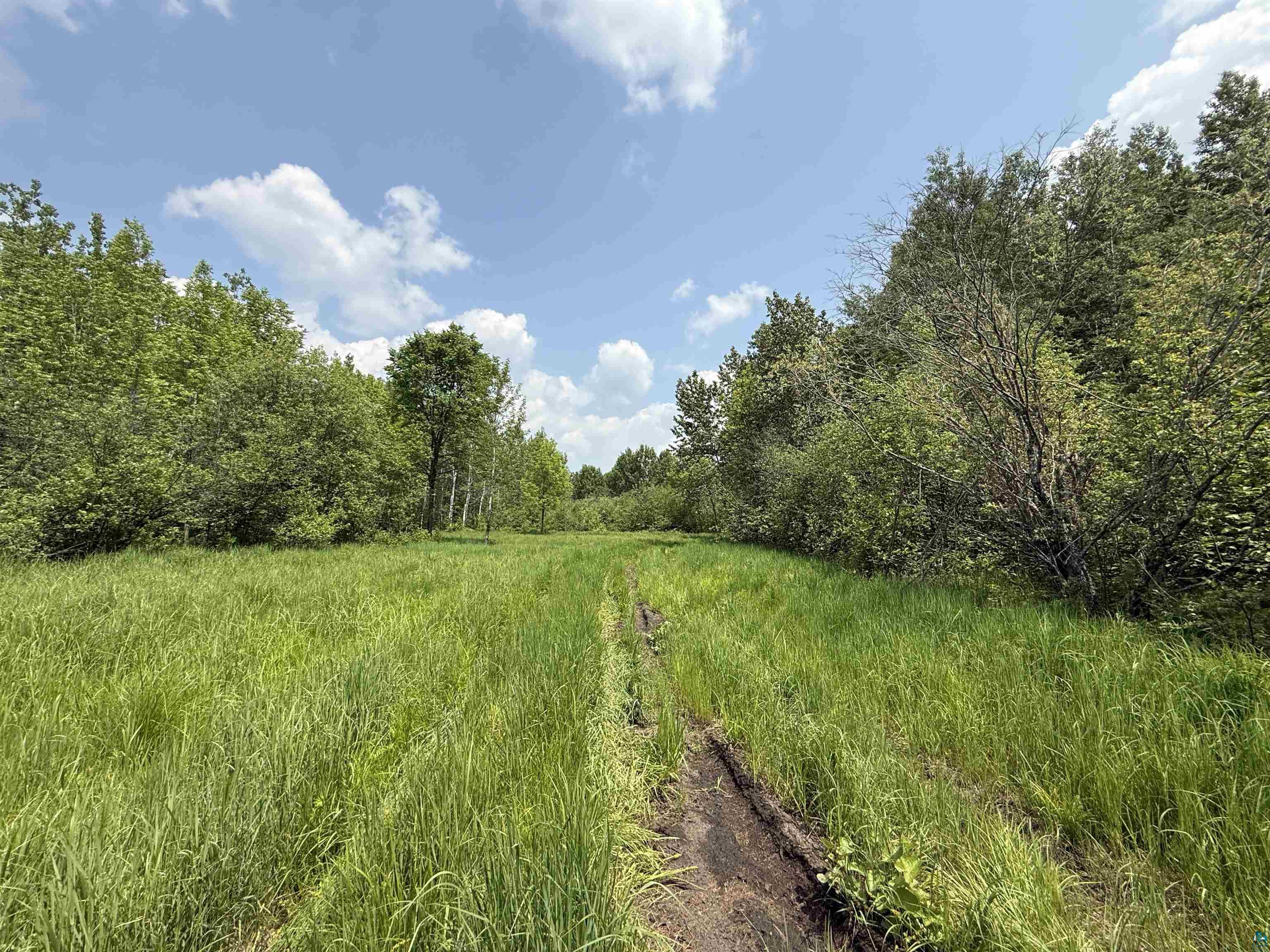 TBD Samuelson Rd Angora MN 55703 6118244 image24